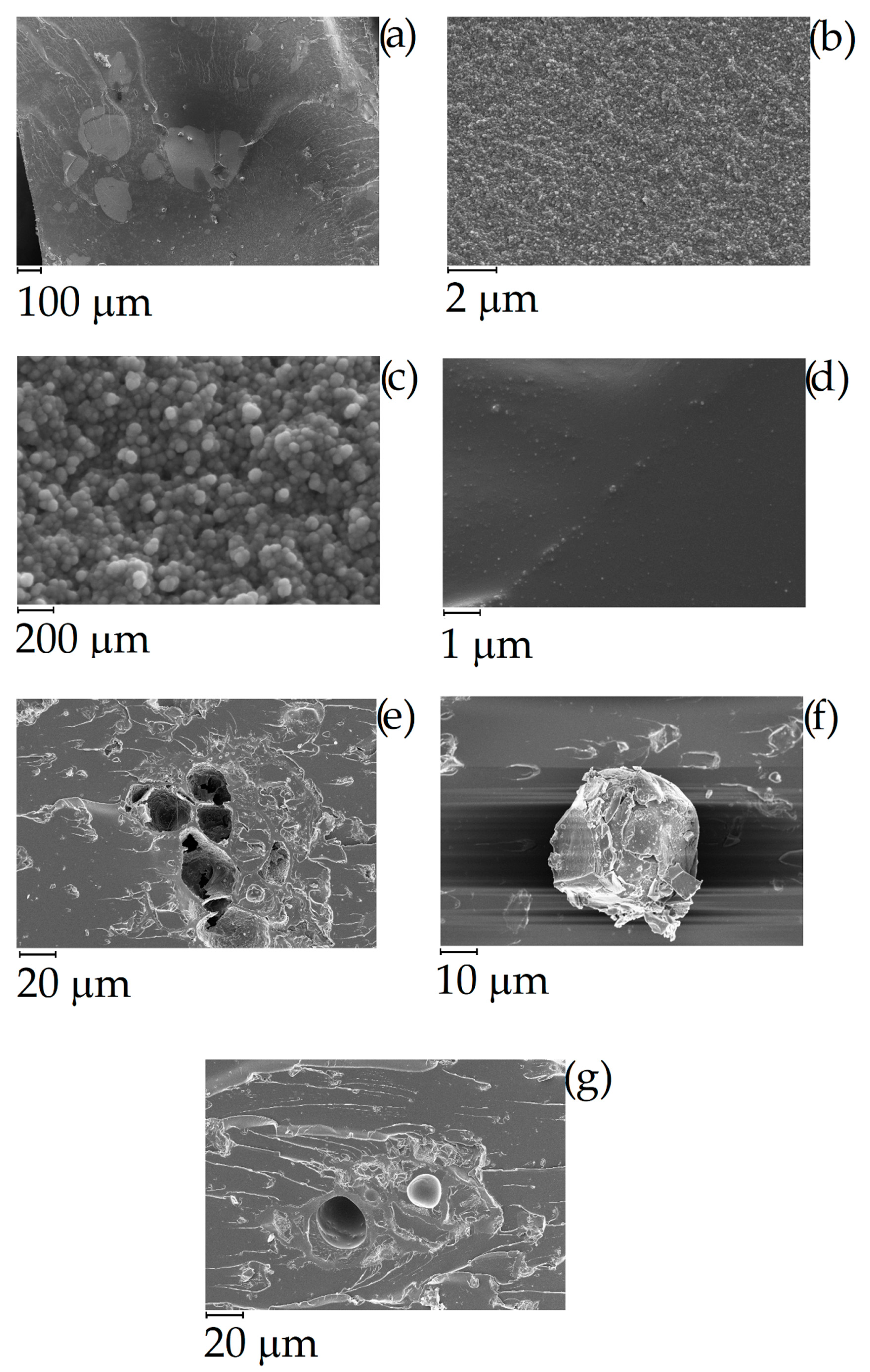 Polymers 11 01916 g010