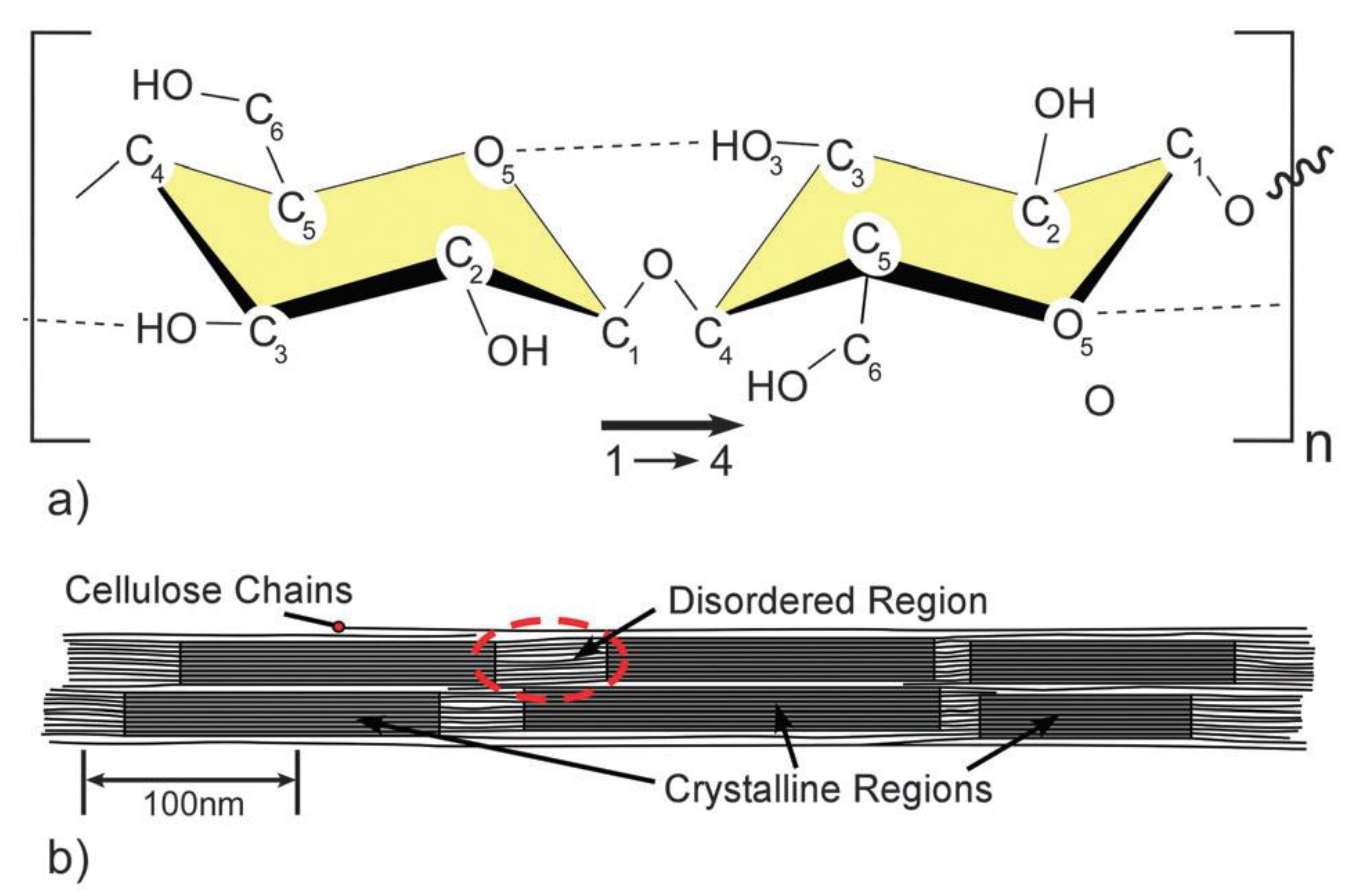 Polymers 11 01917 g012 Polymers 11 01917 g012