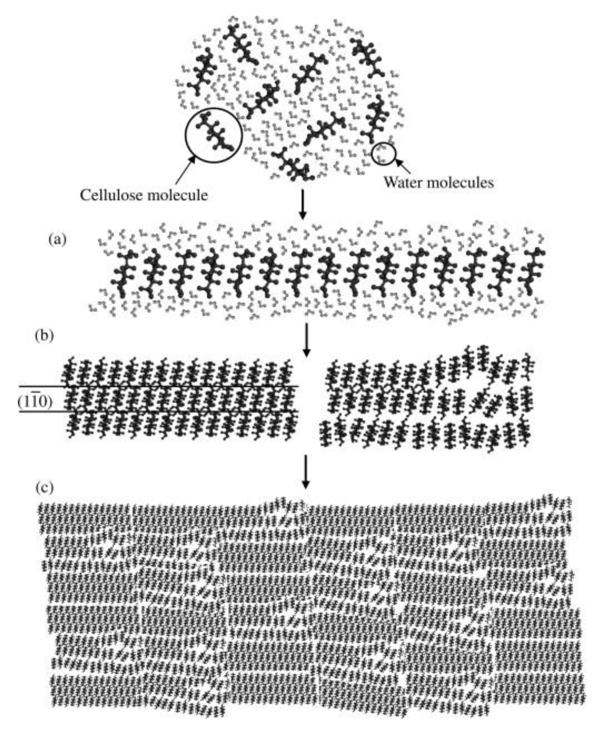 Polymers 11 01917 g014 Polymers 11 01917 g014
