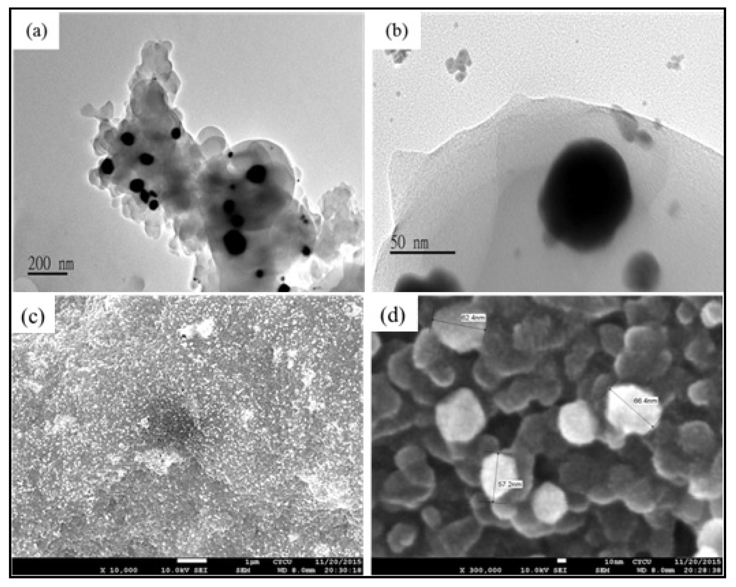 Polymers 11 01918 g004