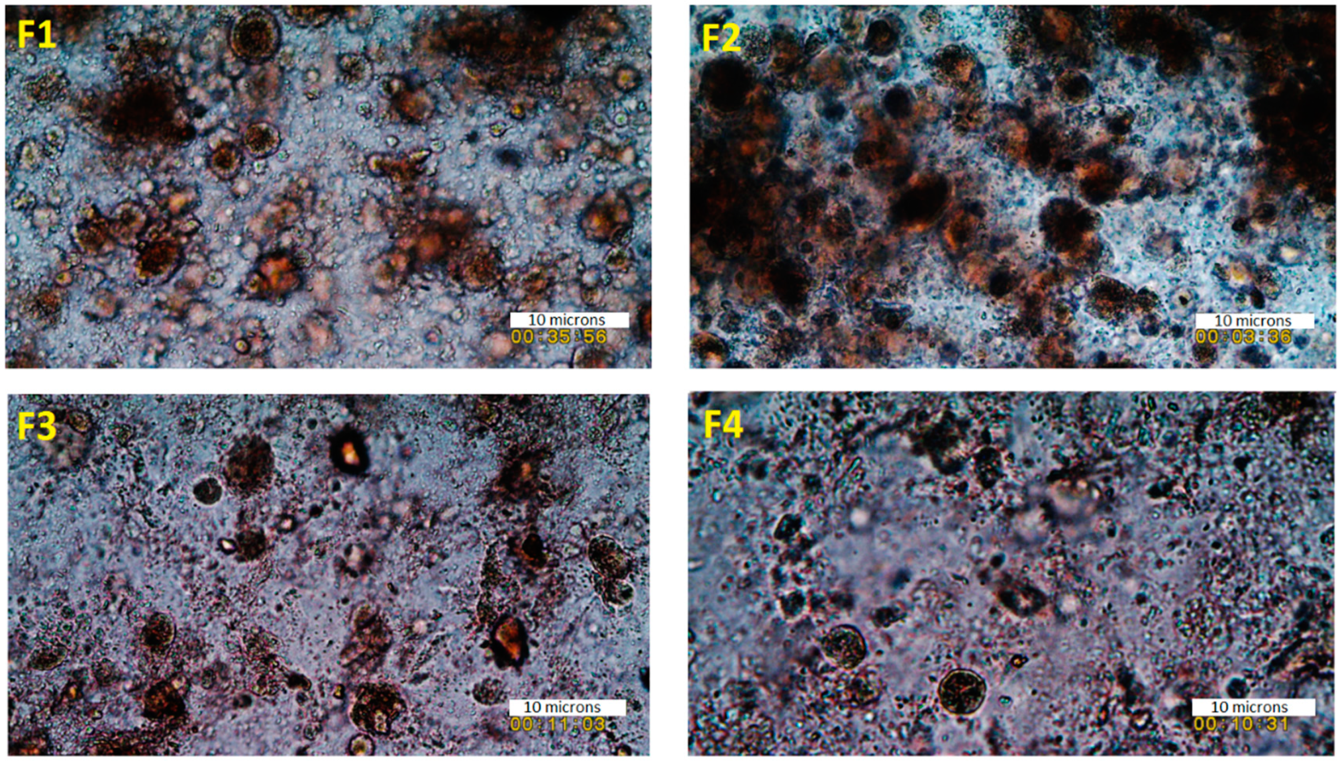 Polymers 11 01924 g002