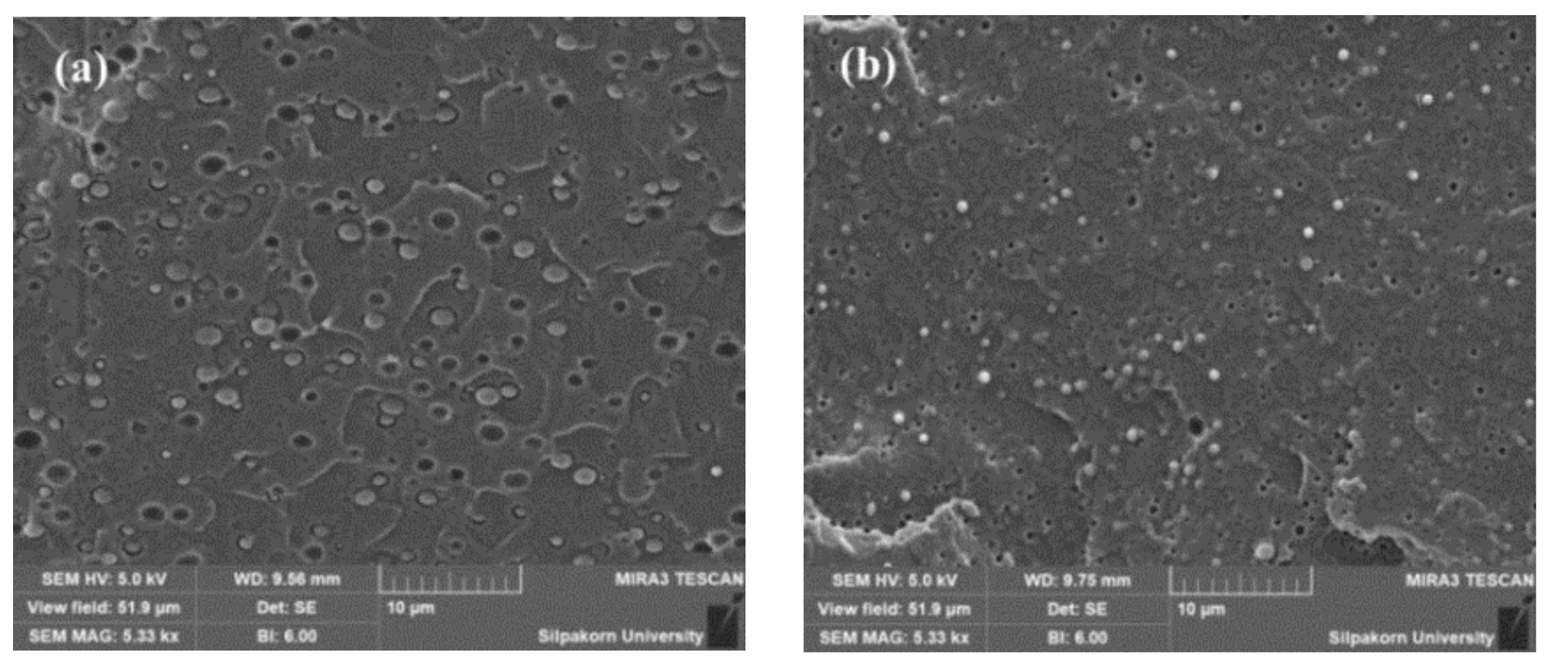 Polymers 11 01925 g001 Polymers 11 01925 g001