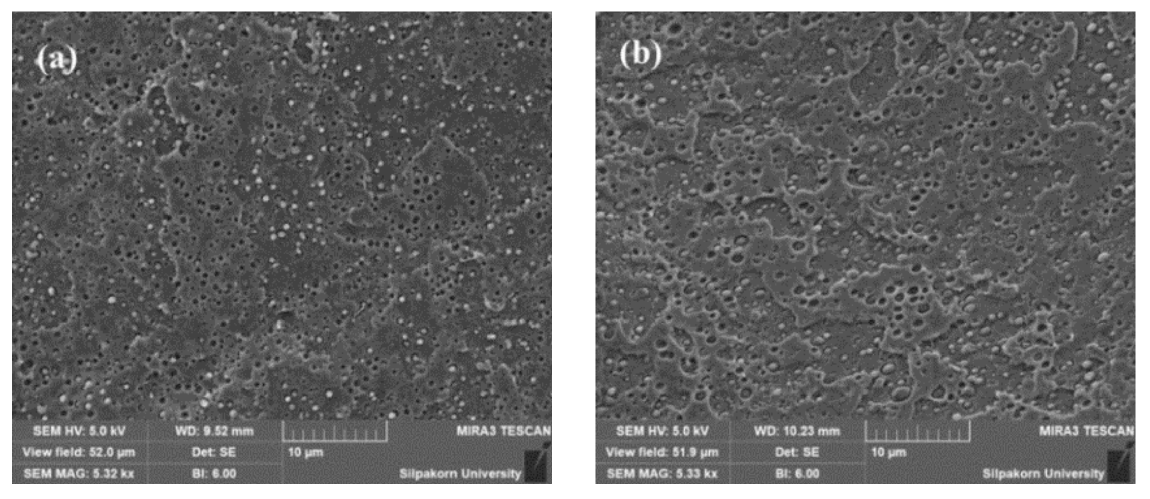 Polymers 11 01925 g002 Polymers 11 01925 g002