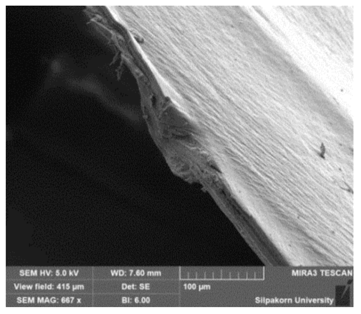 Polymers 11 01925 g003 Polymers 11 01925 g003