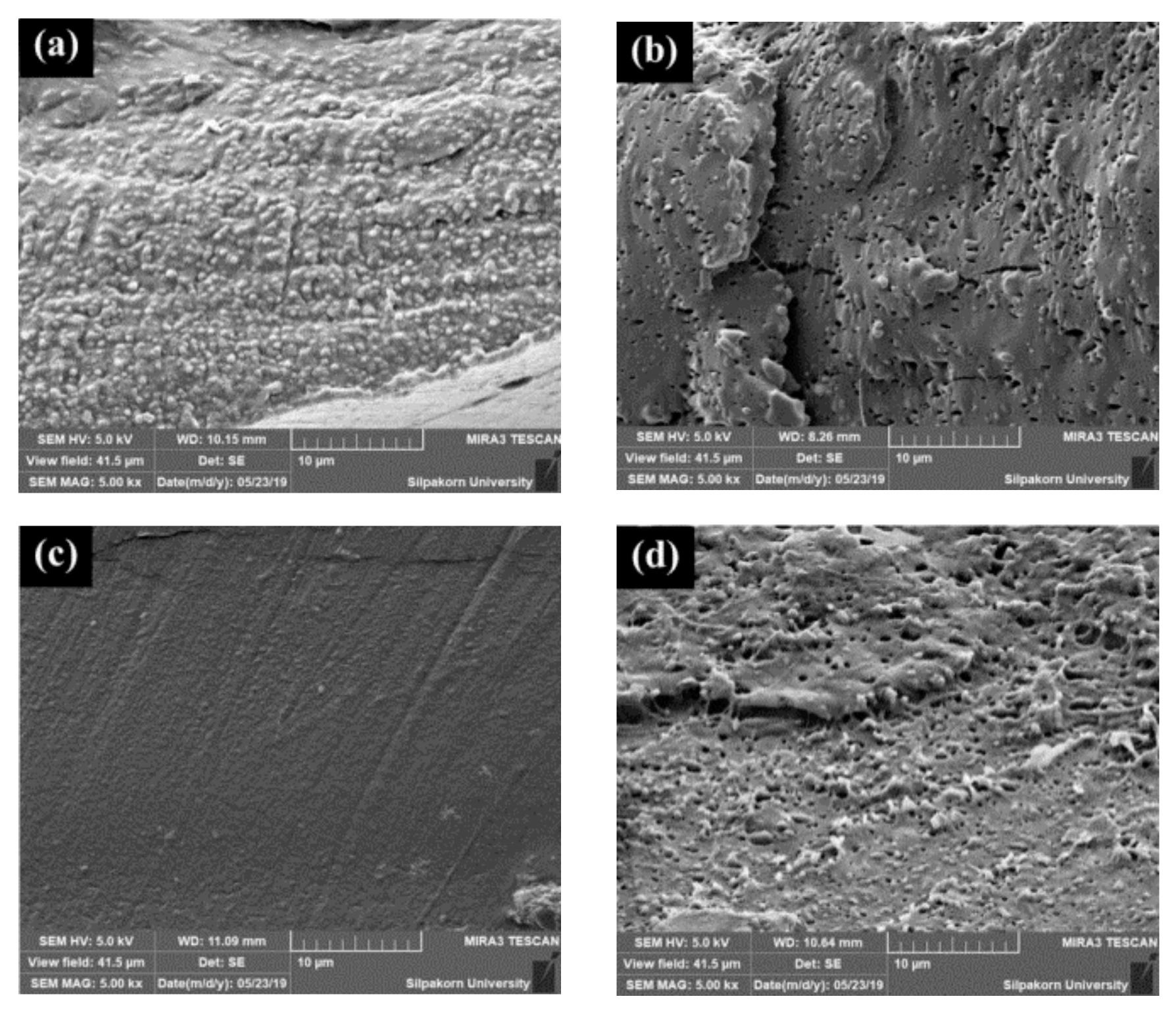 Polymers 11 01925 g017 Polymers 11 01925 g017