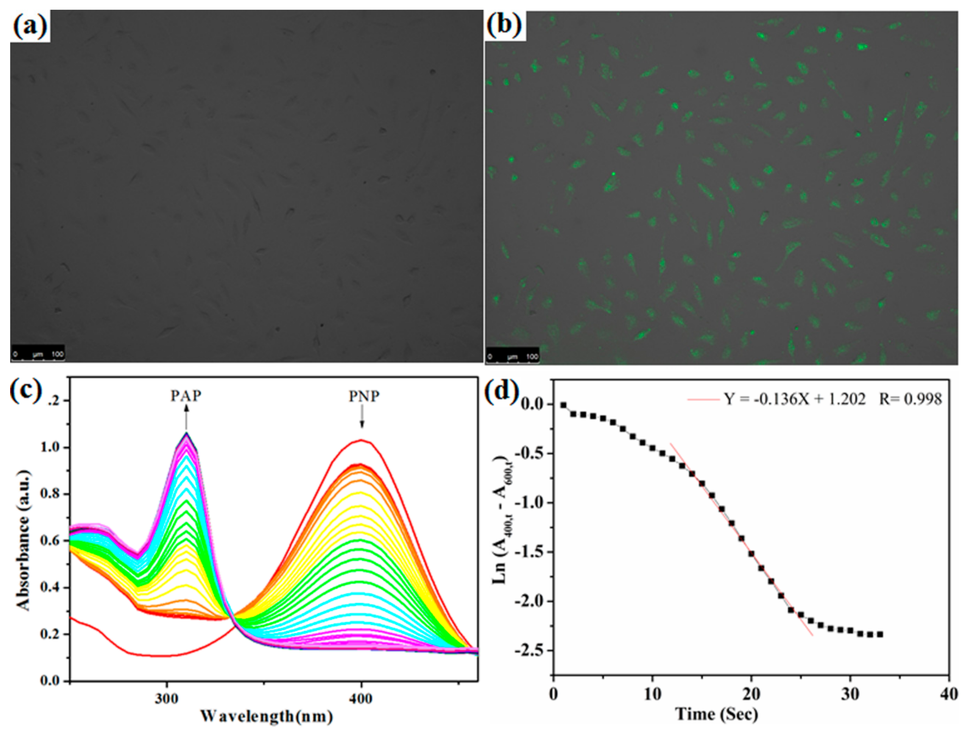 Polymers 11 01926 g011