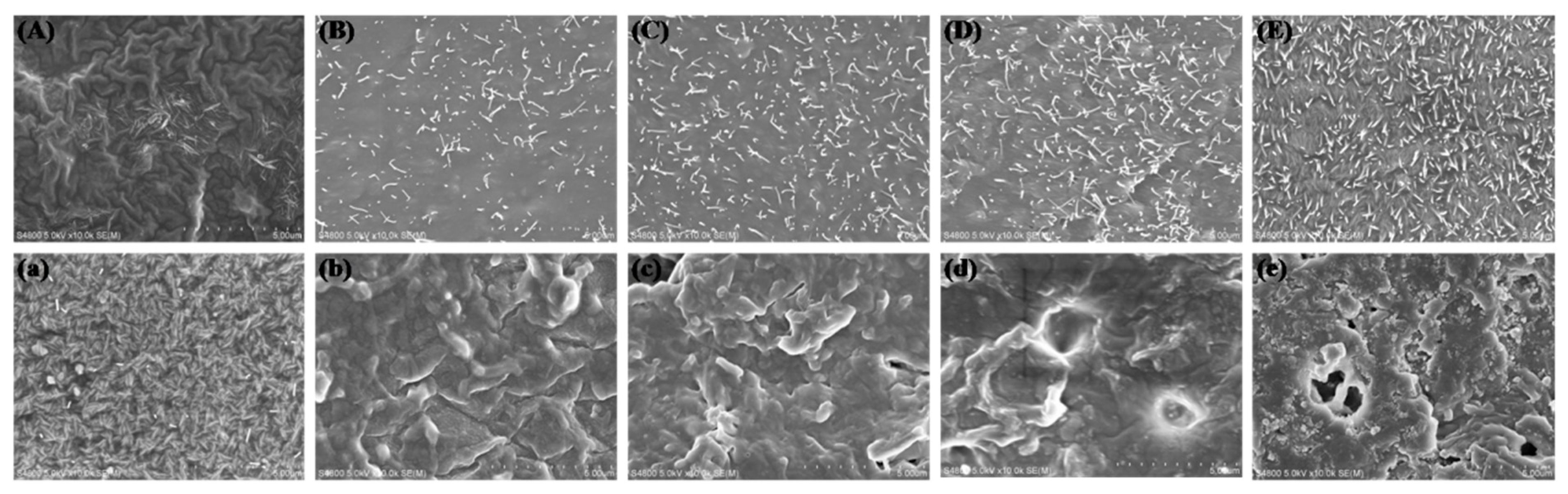 Polymers 11 01927 g009 Polymers 11 01927 g009