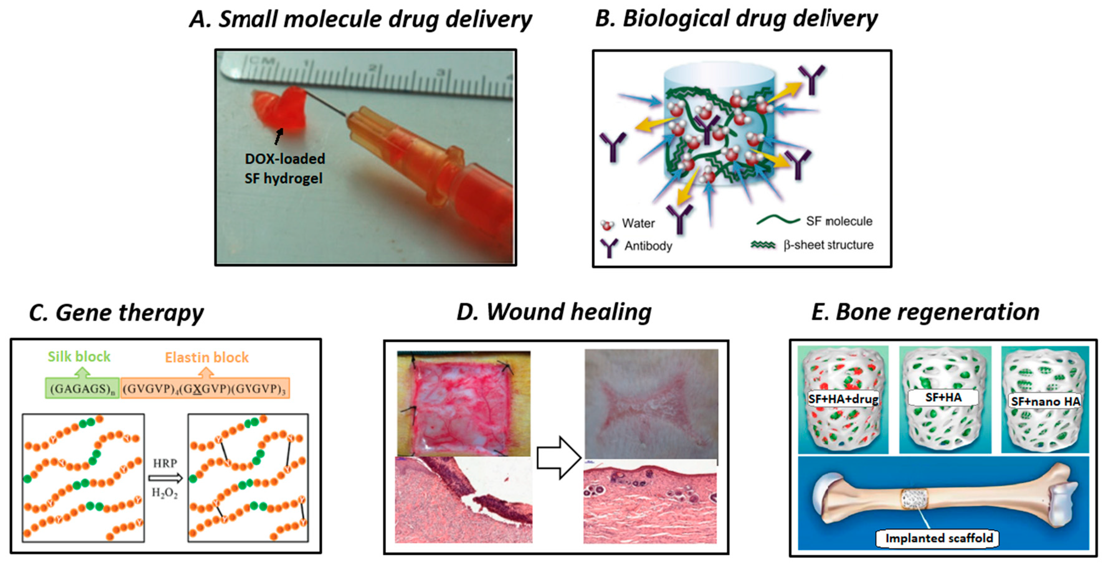 How Has The Free Enterprise System Contributed To Technological Innovation Polymers | Free Full-Text | Silk Fibroin-Based Biomaterials for