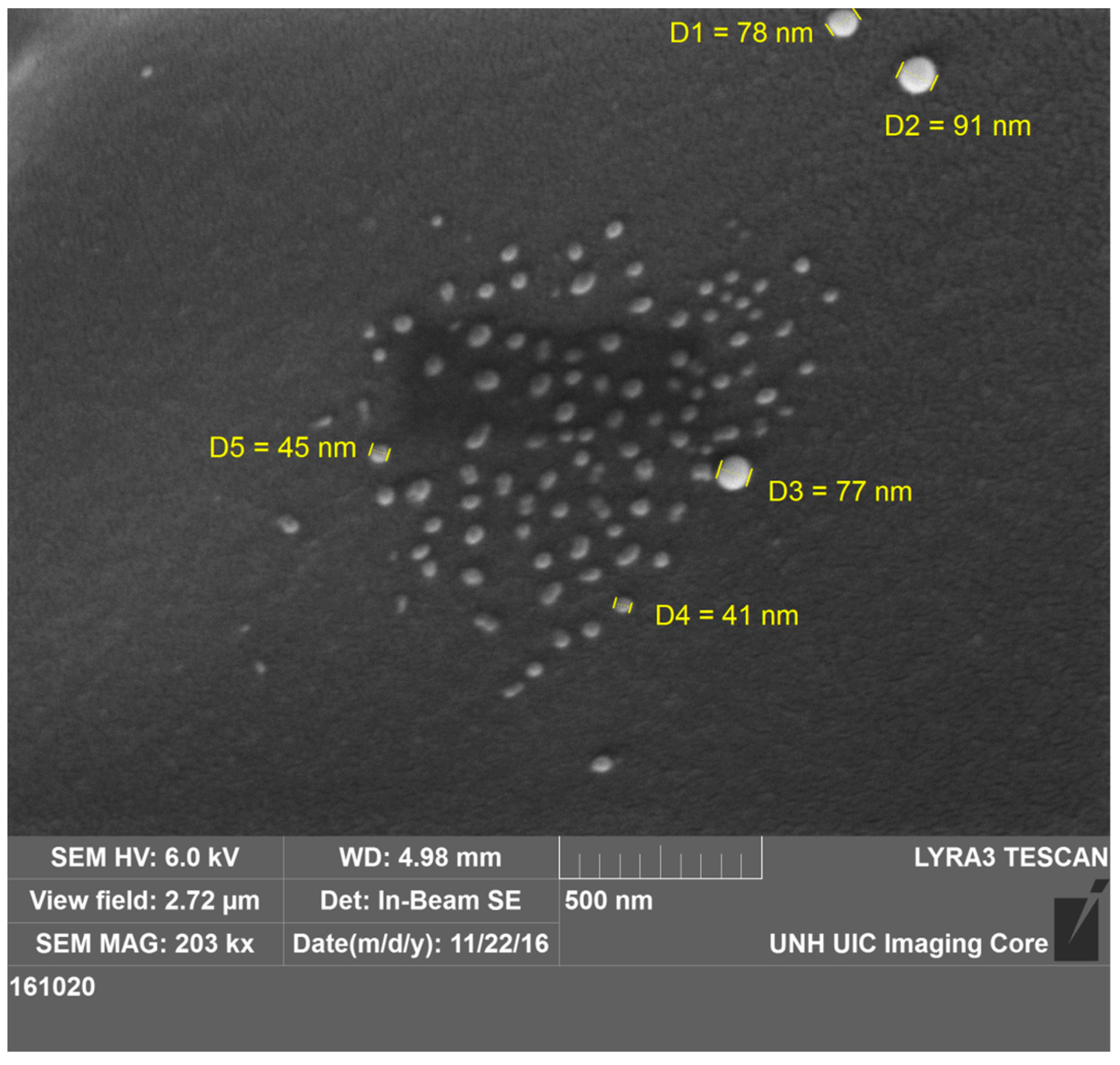 Polymers 11 01935 g004