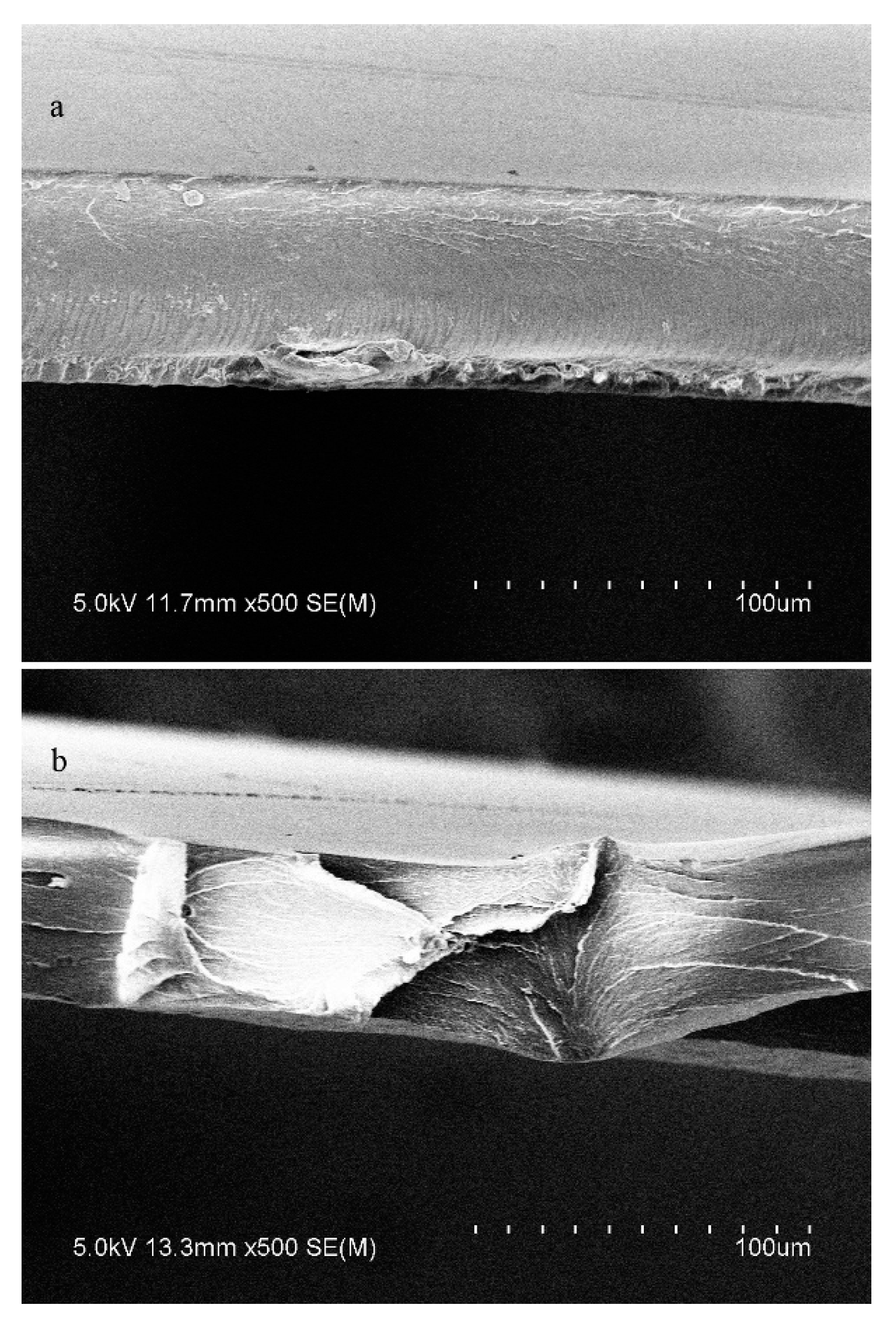 Polymers 11 01936 g015 Polymers 11 01936 g015