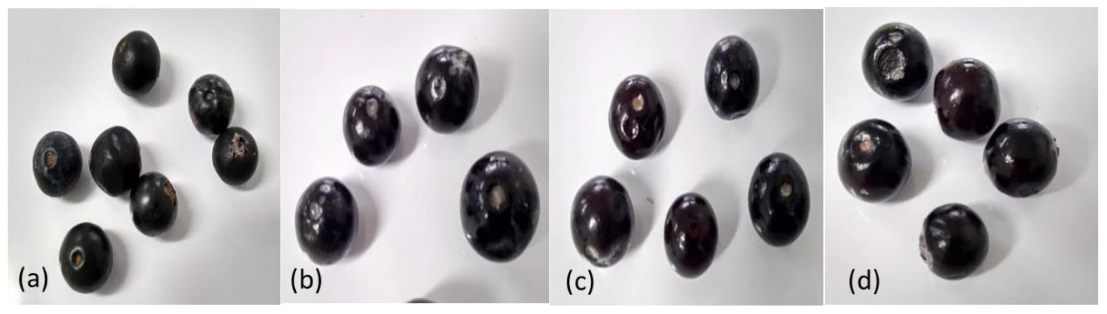 Polymers 11 01937 g006