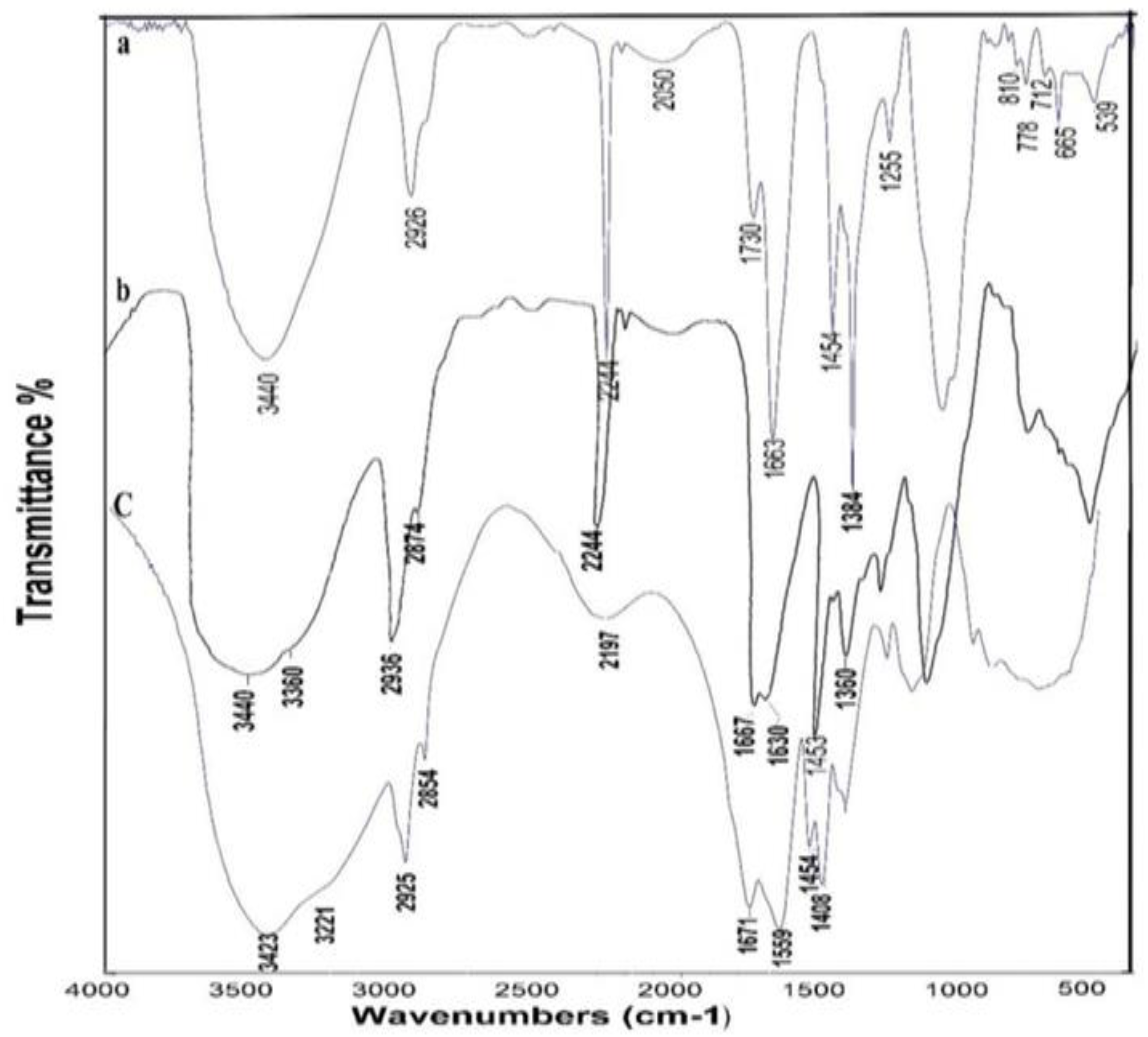 Polymers 11 01938 g001 Polymers 11 01938 g001