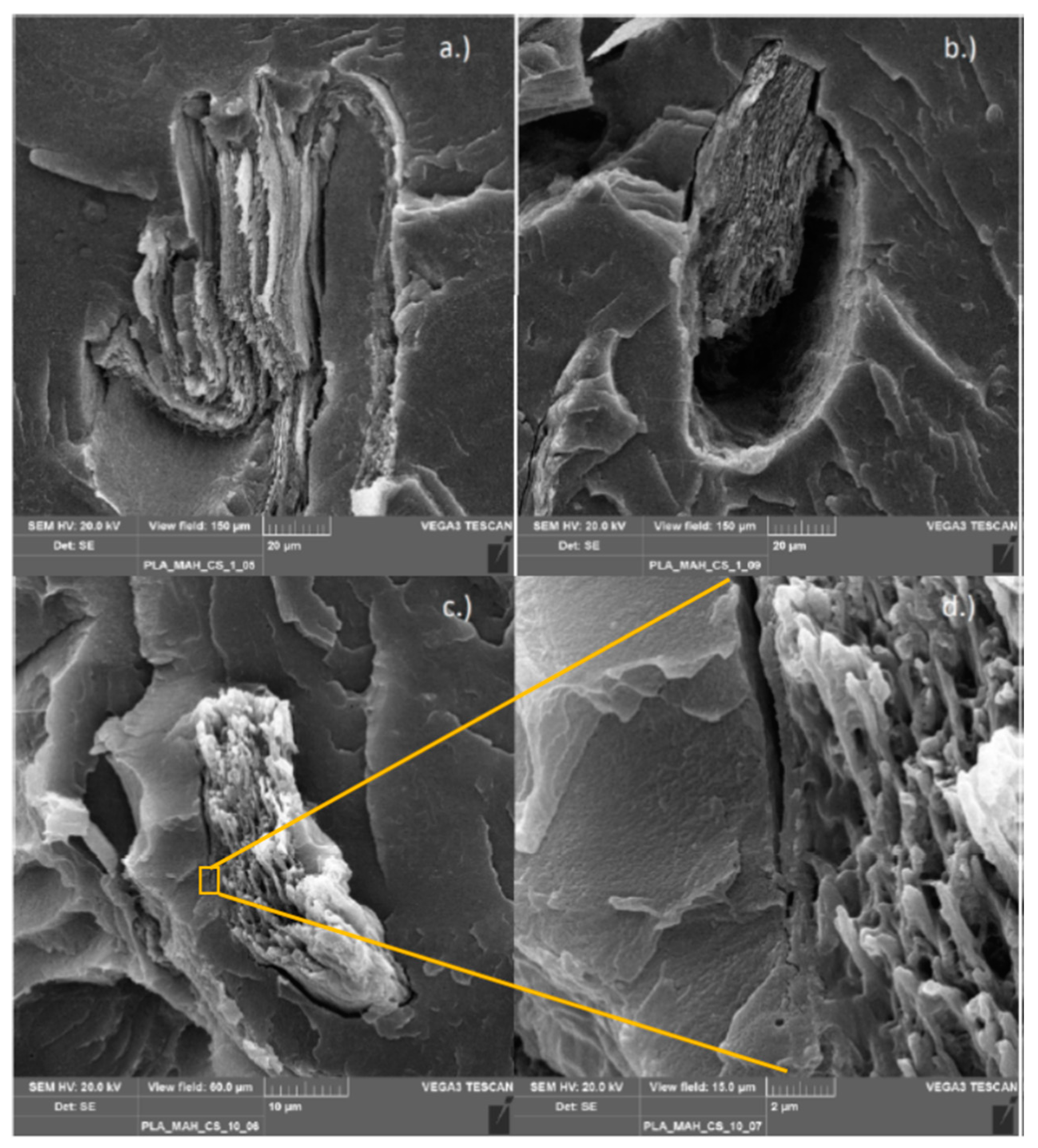Polymers 11 01939 g013