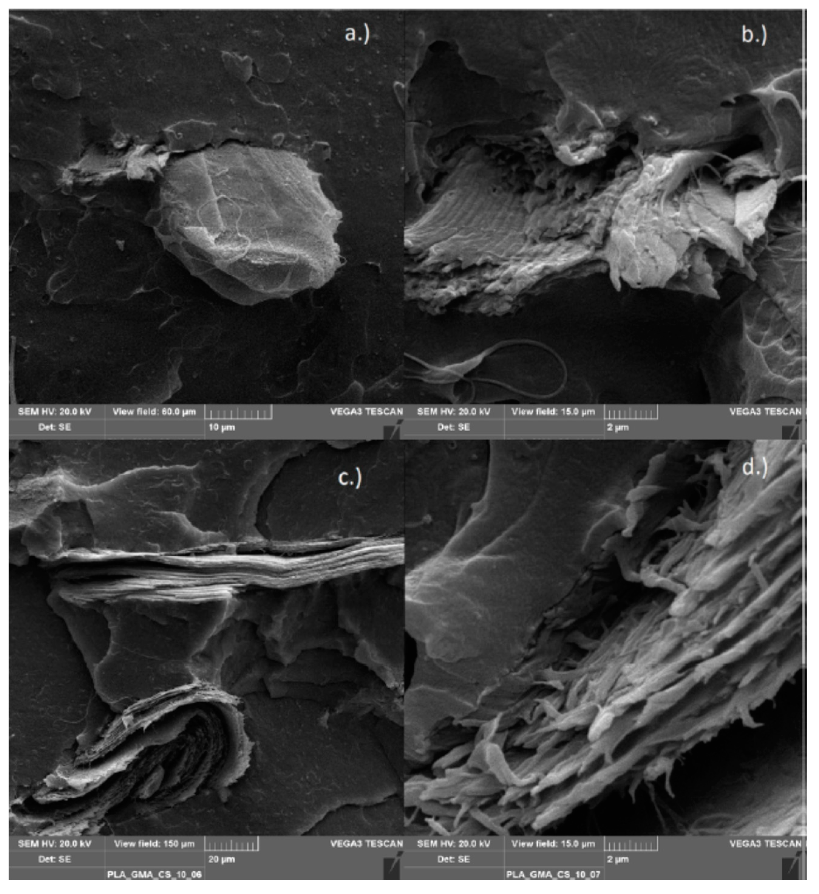 Polymers 11 01939 g014