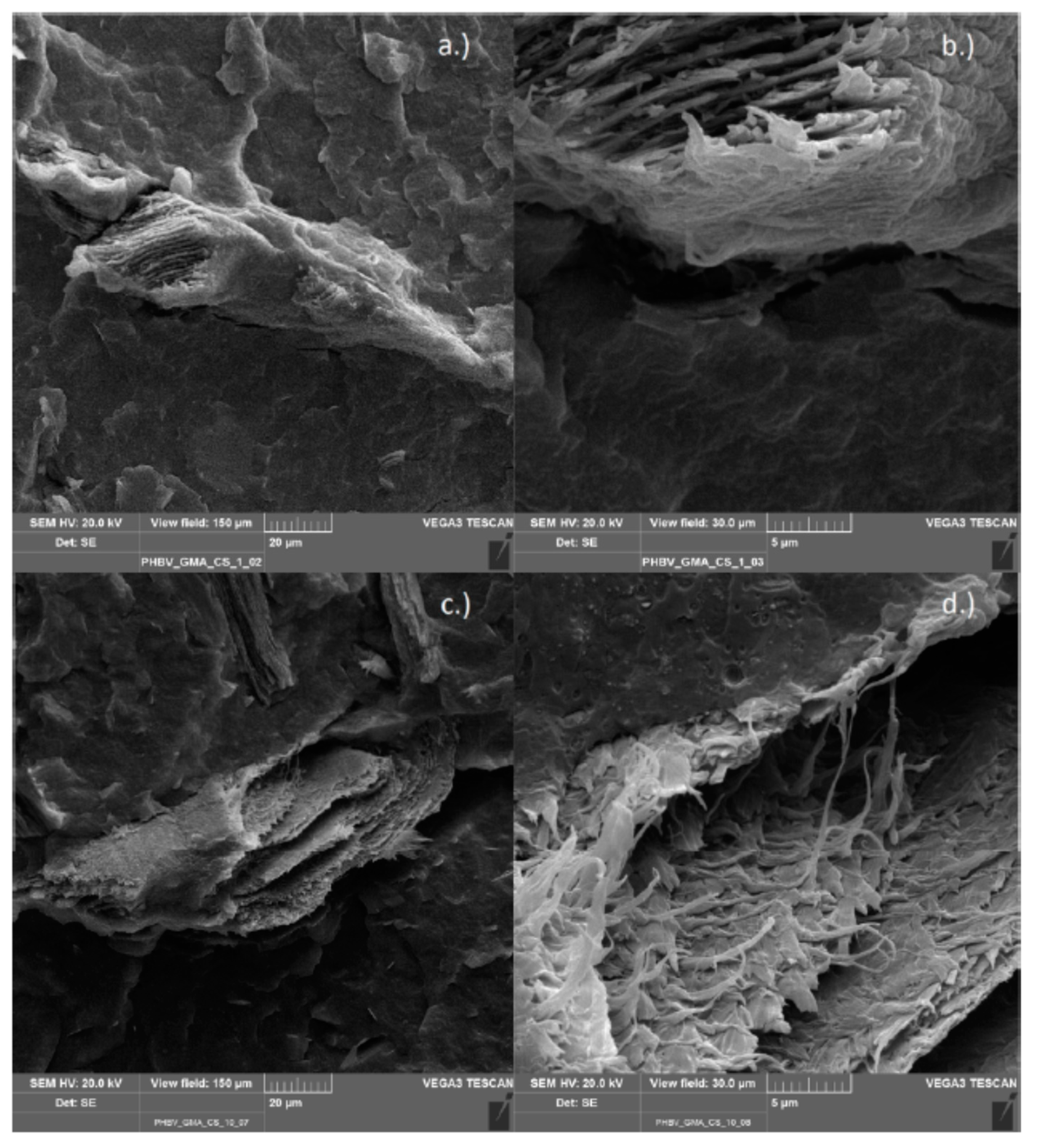 Polymers 11 01939 g016