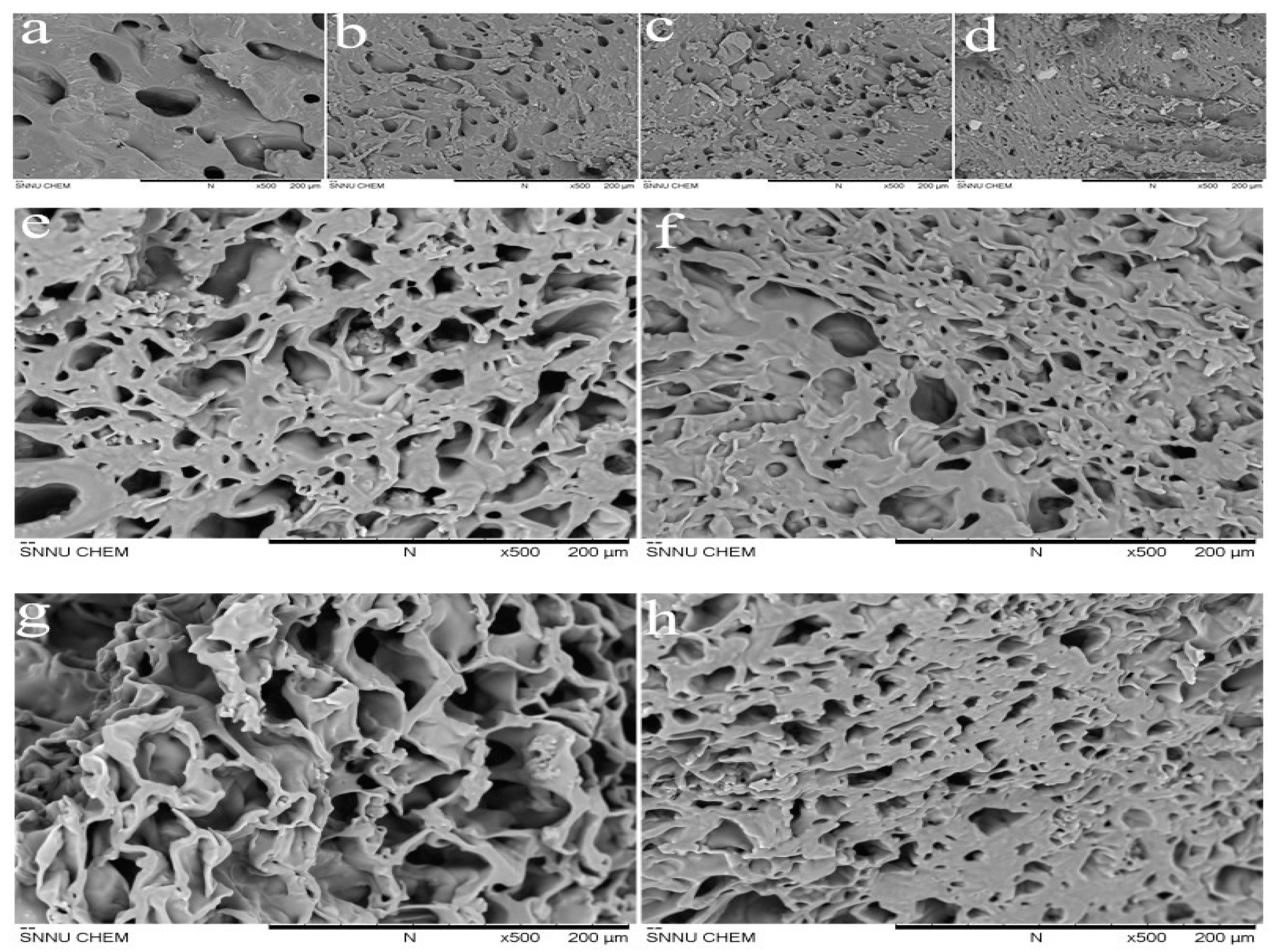 Polymers 11 01940 g008