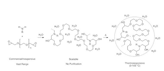 Polymers Free Full Text Thermoresponsive Poly Ss Hydroxyl Amine S Synthesis Of A New Stimuli Responsive Amphiphilic Homopolymer Family Through Amine Epoxy Click Polymerization