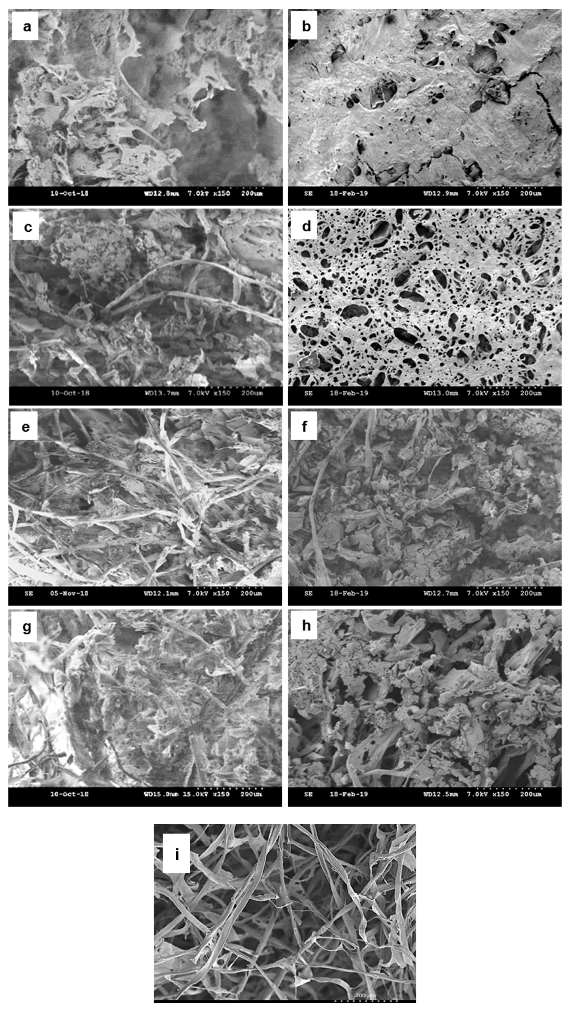 Polymers 11 01942 g001 Polymers 11 01942 g001