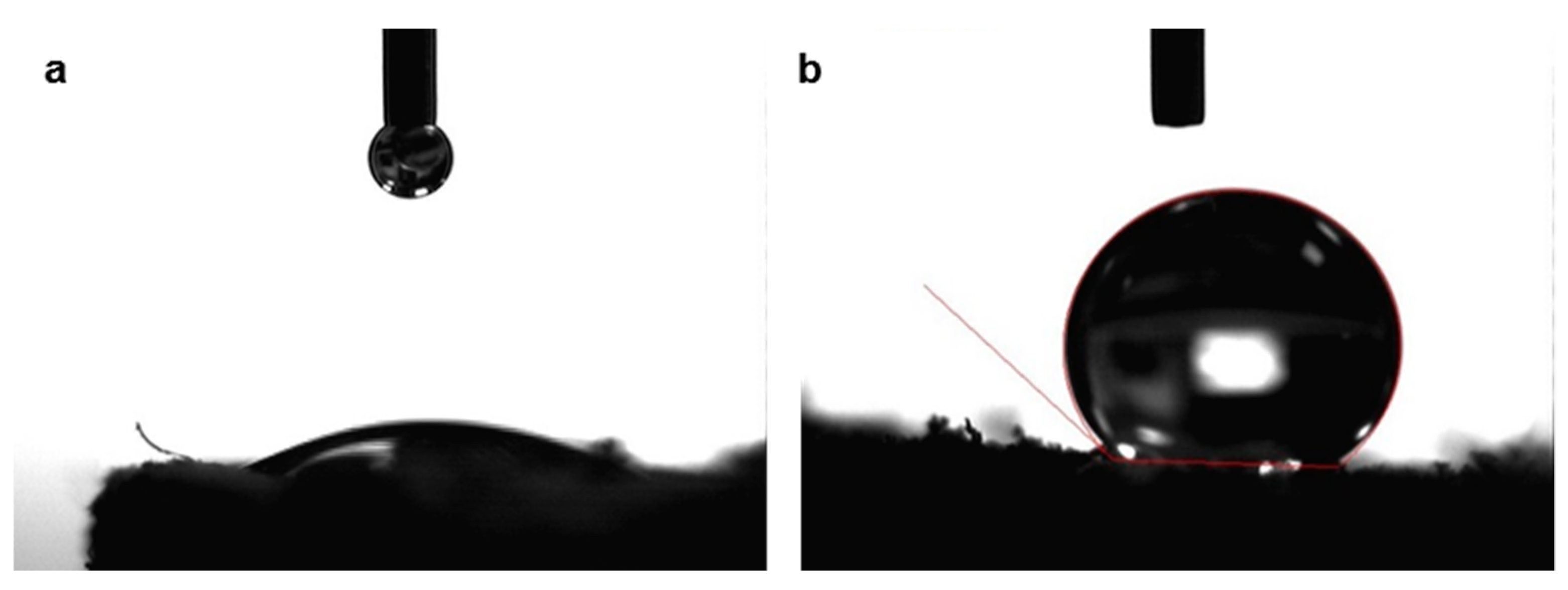 Polymers 11 01942 g002 Polymers 11 01942 g002