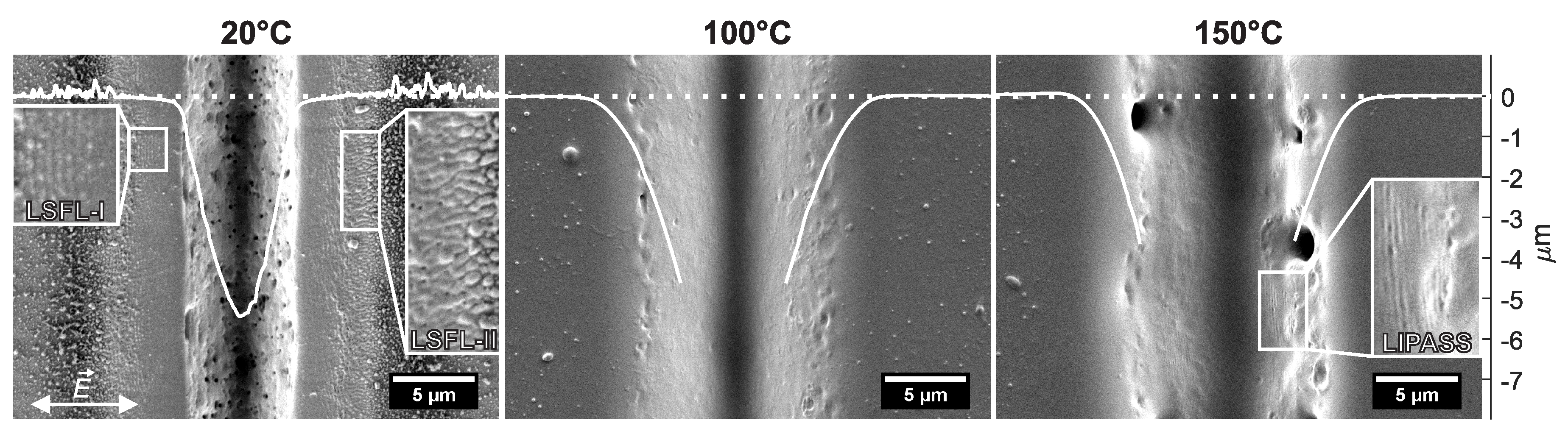 Polymers 11 01947 g002 Polymers 11 01947 g002