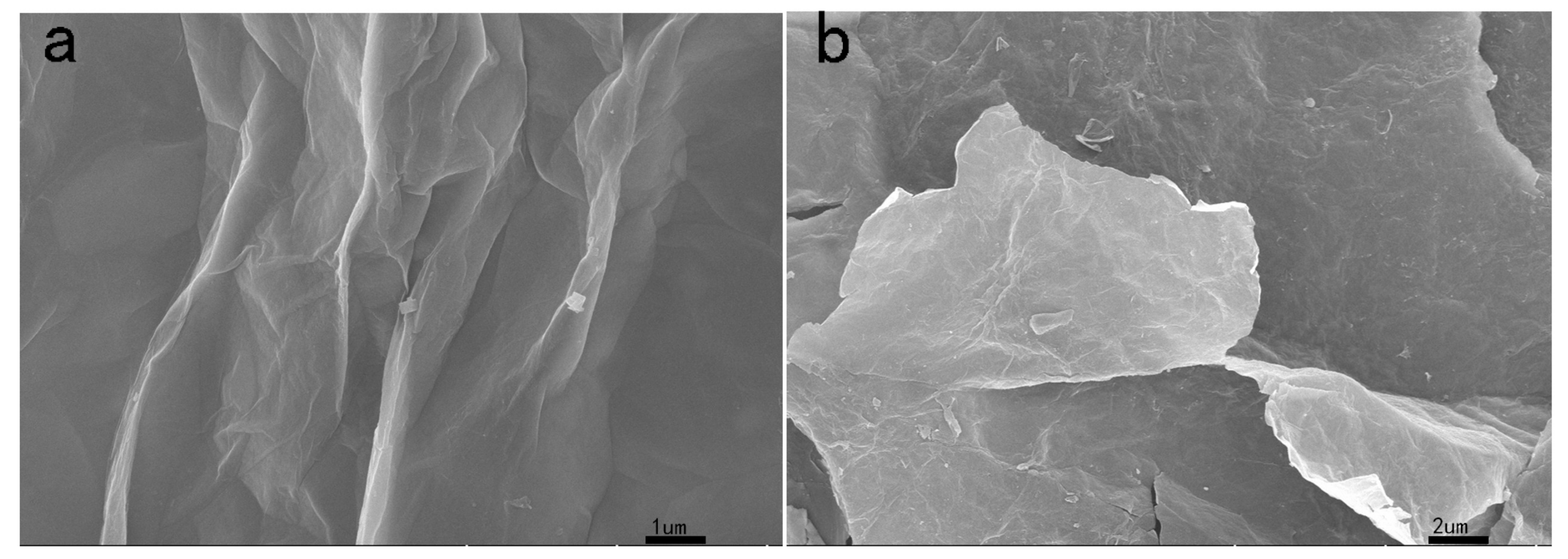 Polymers 11 01950 g003