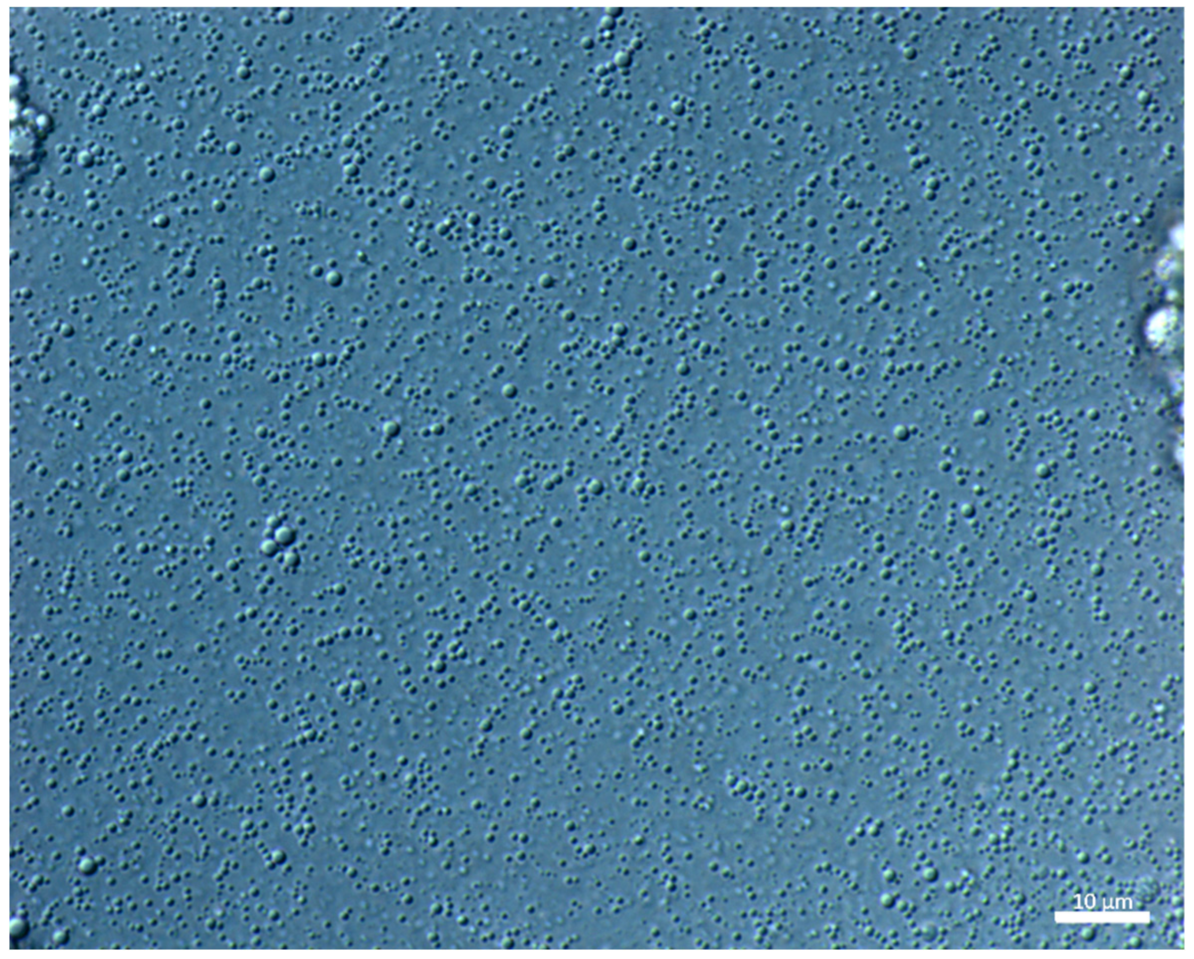 Polymers 11 01951 g005