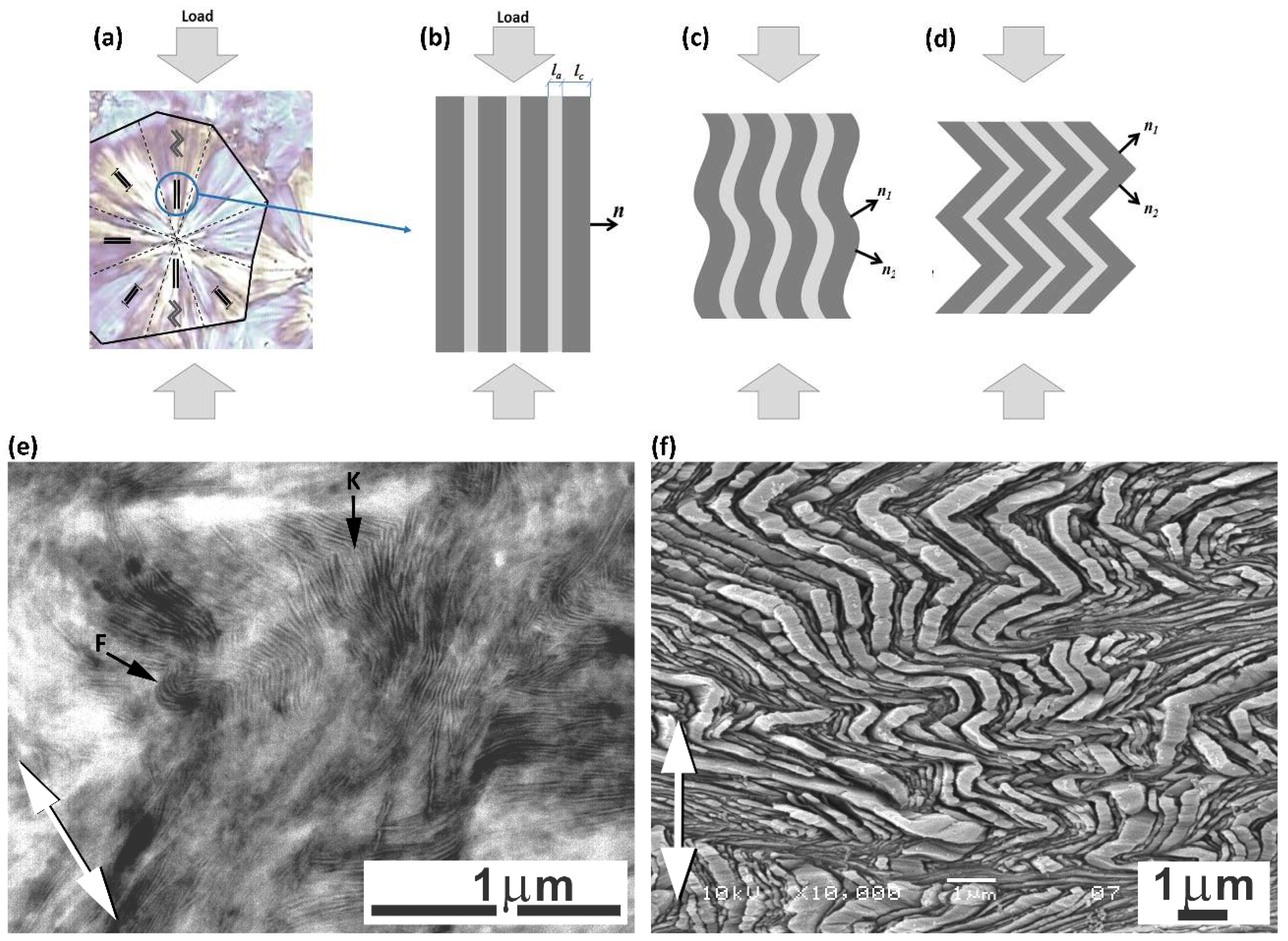 Polymers 11 01954 g003