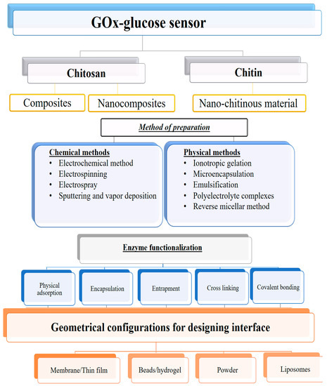Polymers | Free Full-Text | Exploration of Chitinous Scaffold 