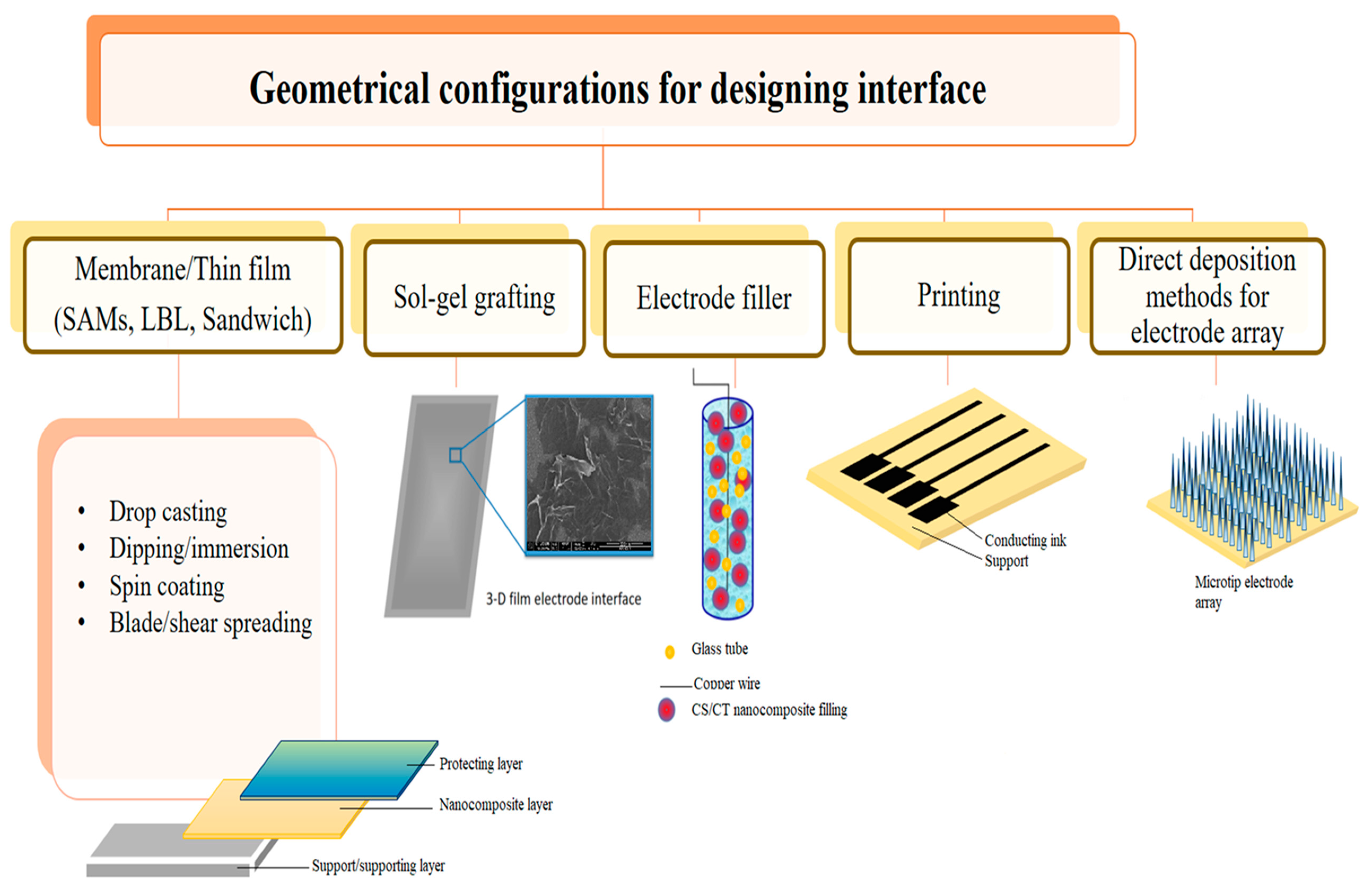 Polymers | Free Full-Text | Exploration of Chitinous Scaffold 