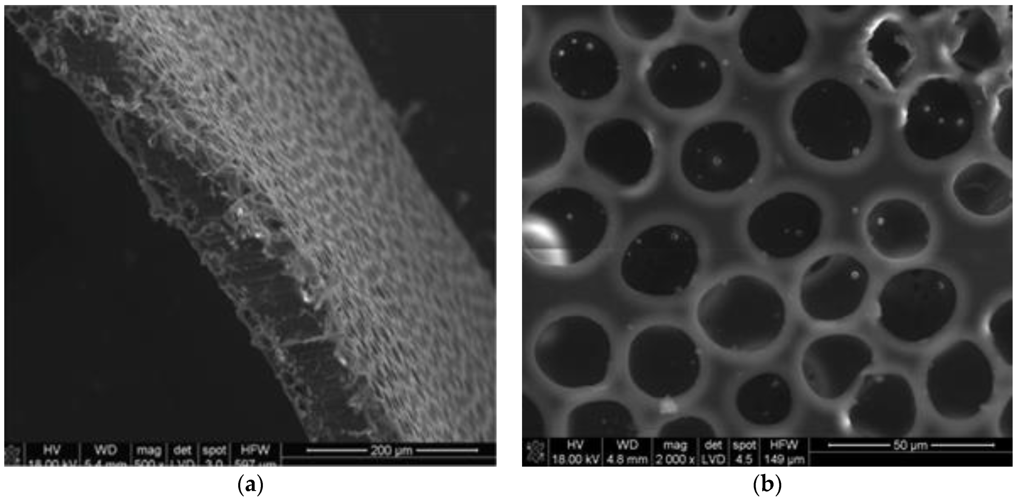Polymers 11 01961 g003