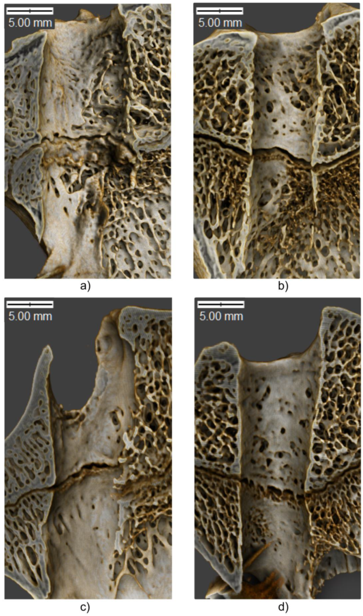 Polymers 11 01961 g008
