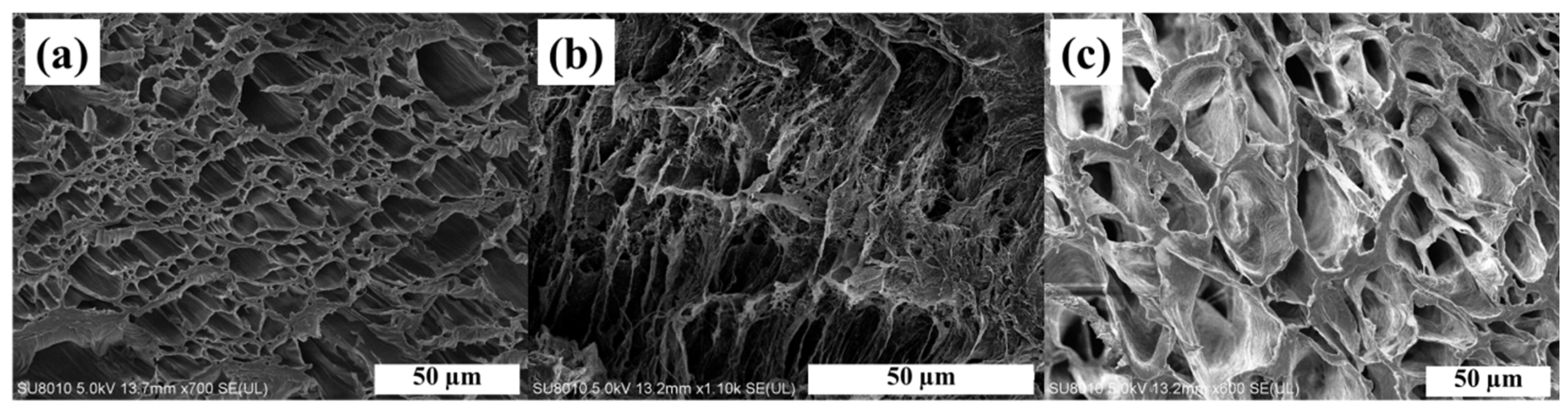 Polymers 11 01964 g002