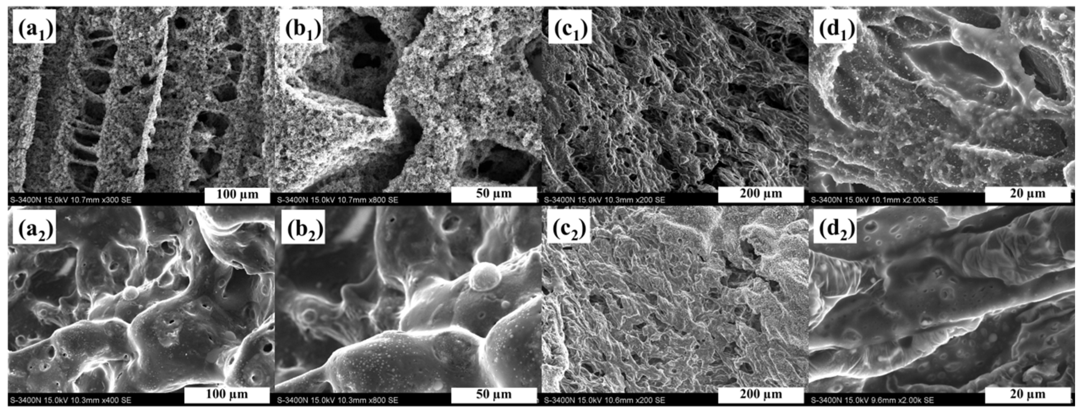 Polymers 11 01964 g007