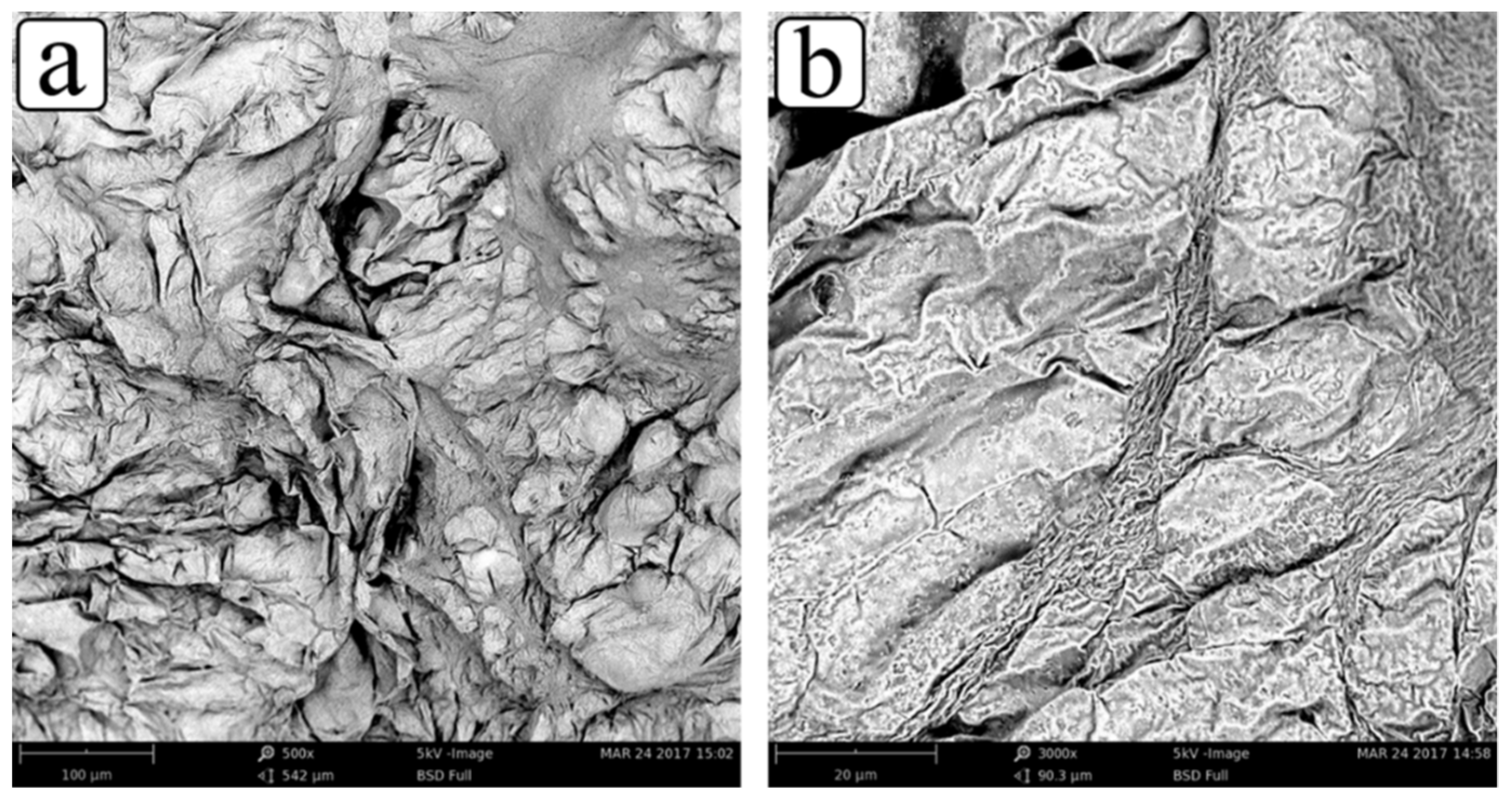 Polymers 11 01969 g011 550