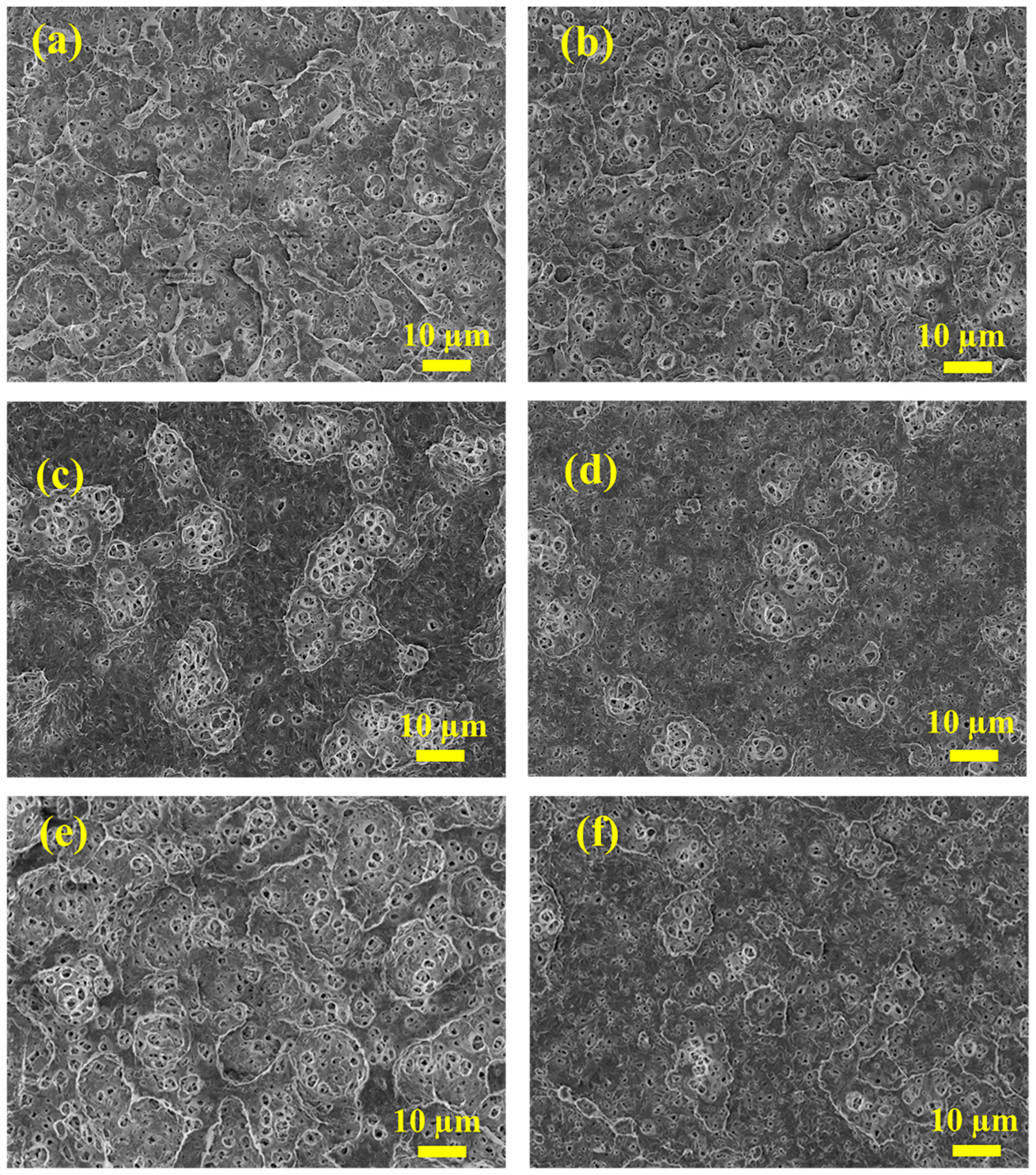 Polymers 11 01975 g003
