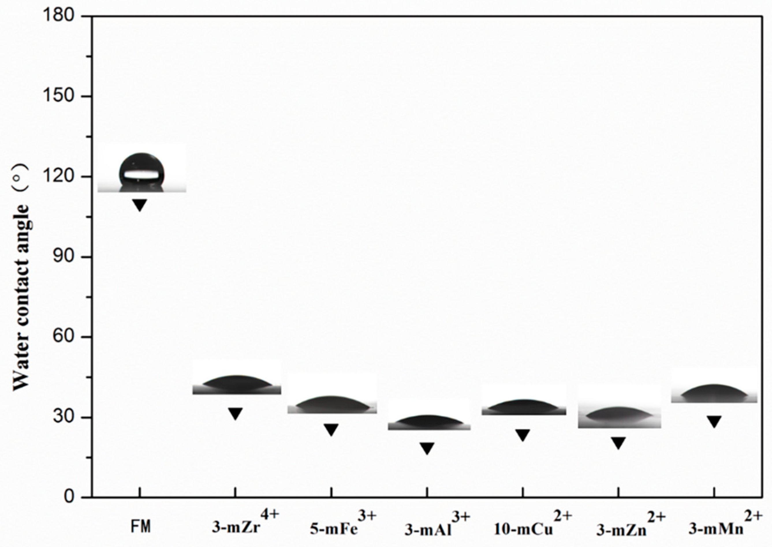 Polymers 11 01975 g004