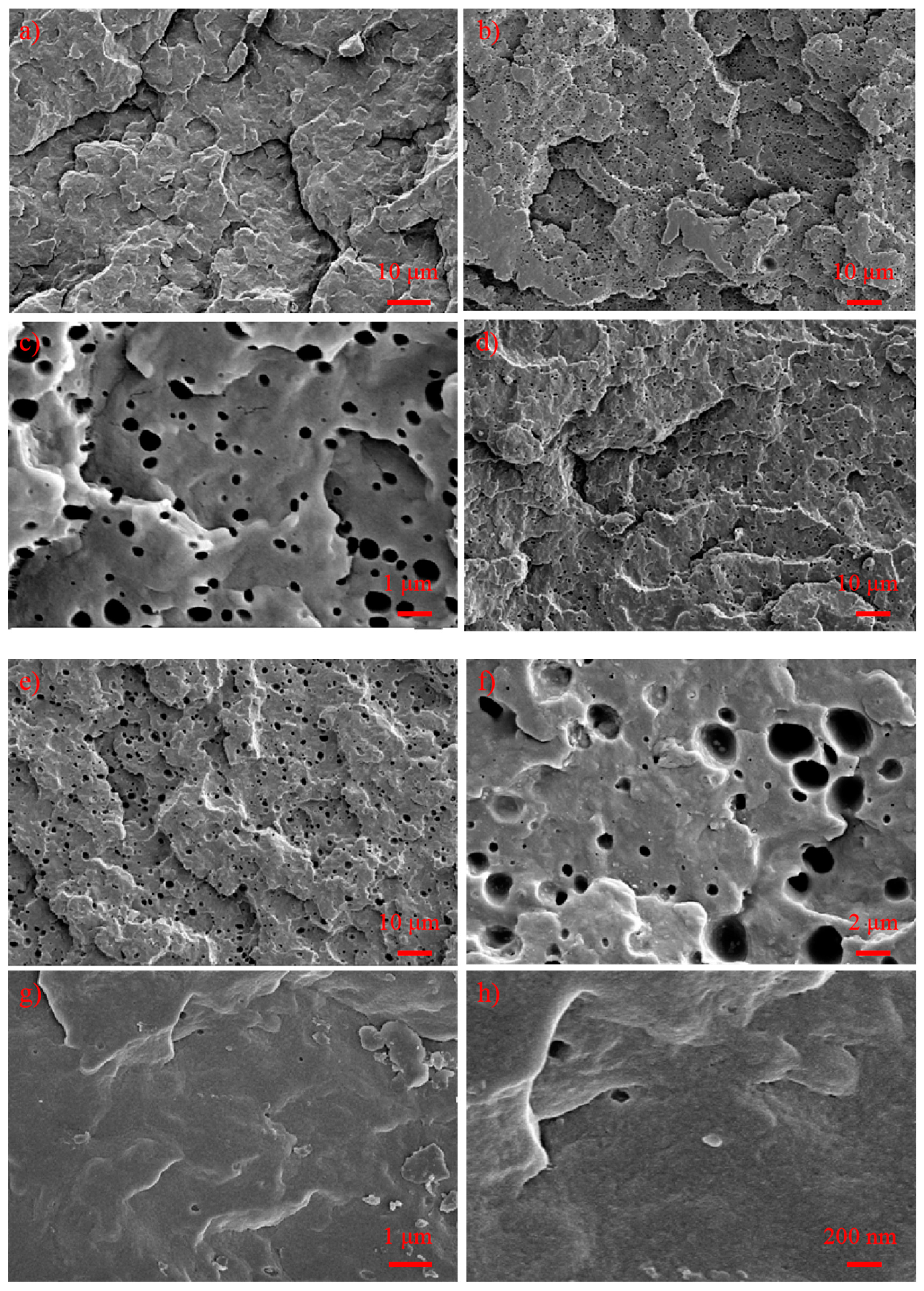 Polymers 11 01976 g010 550