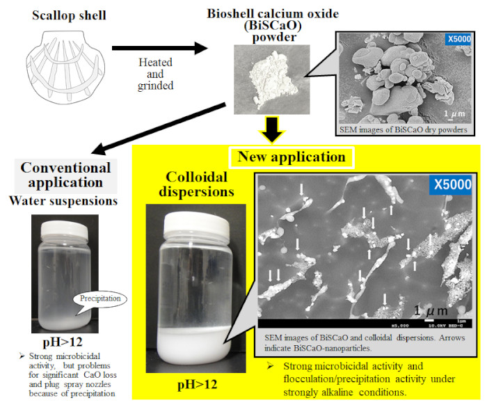 Polymers Free FullText Application of Colloidal Dispersions of
