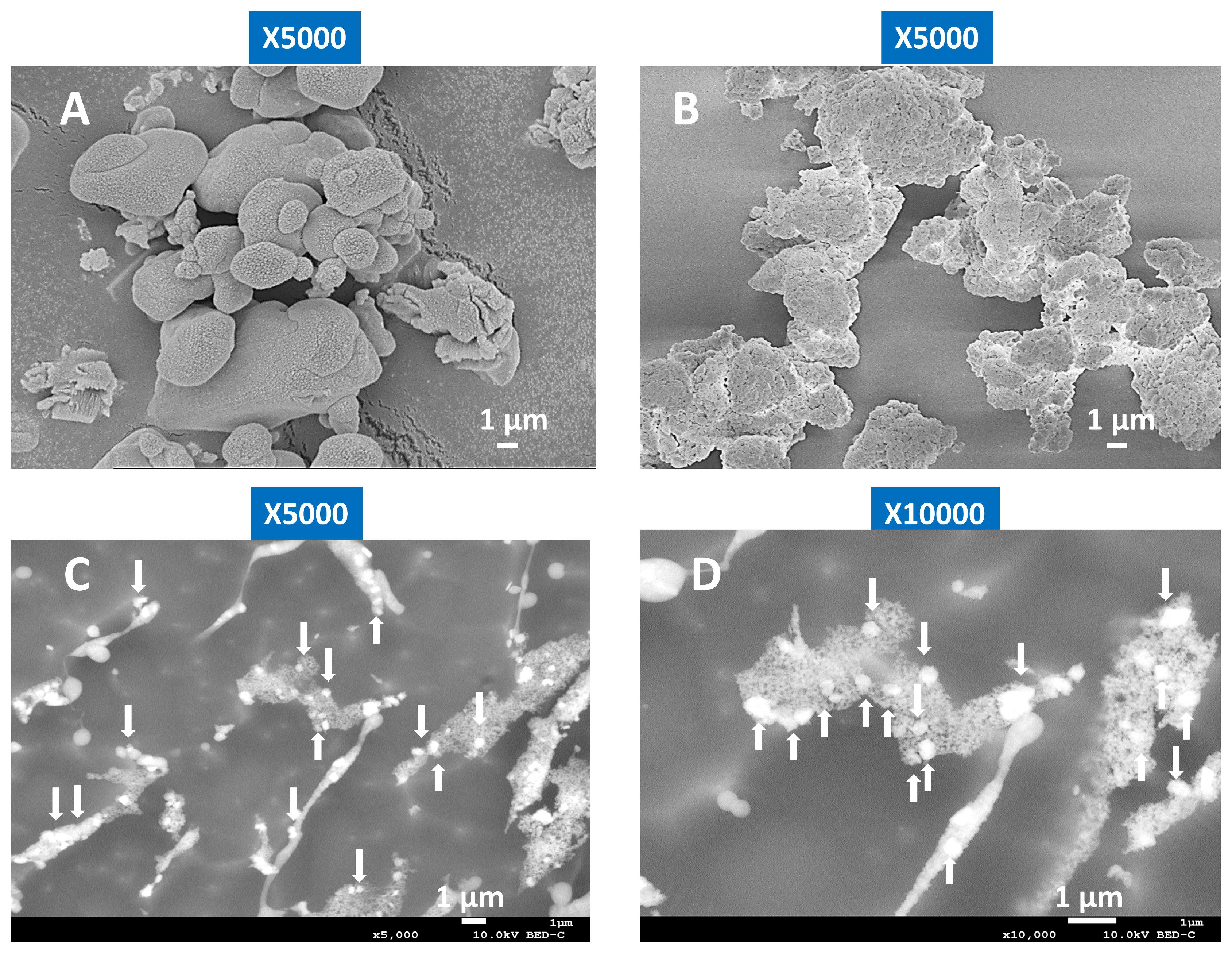 Polymers 11 01991 g003 550