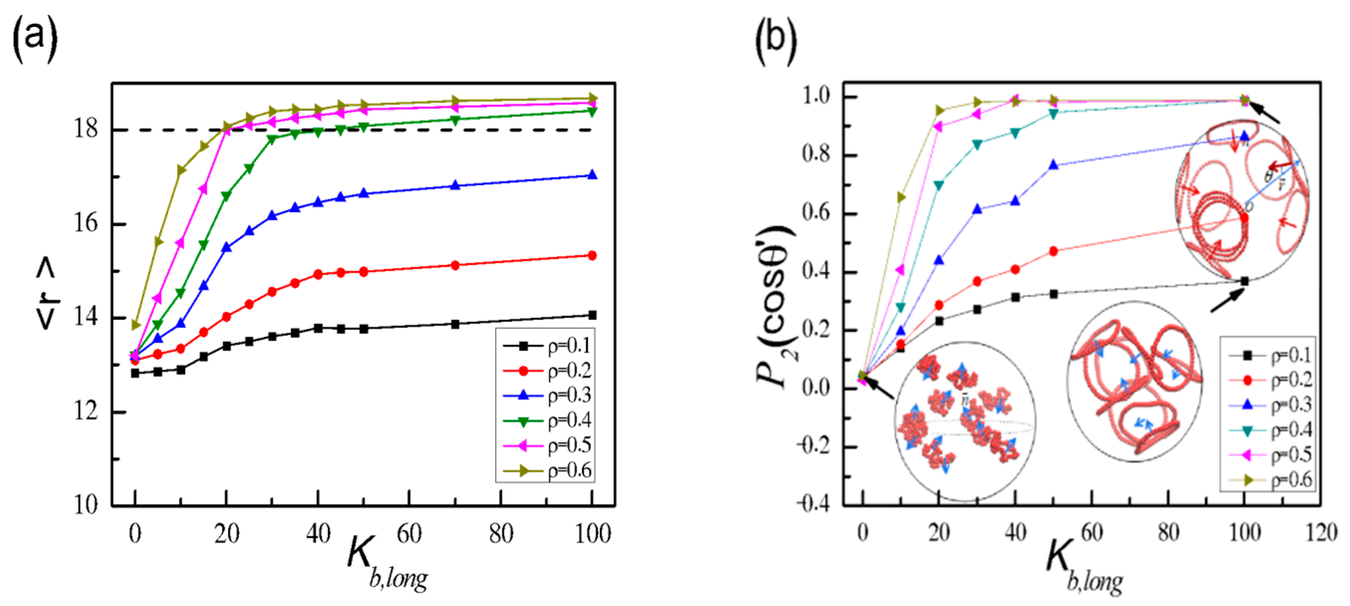 Polymers 11 01992 g003