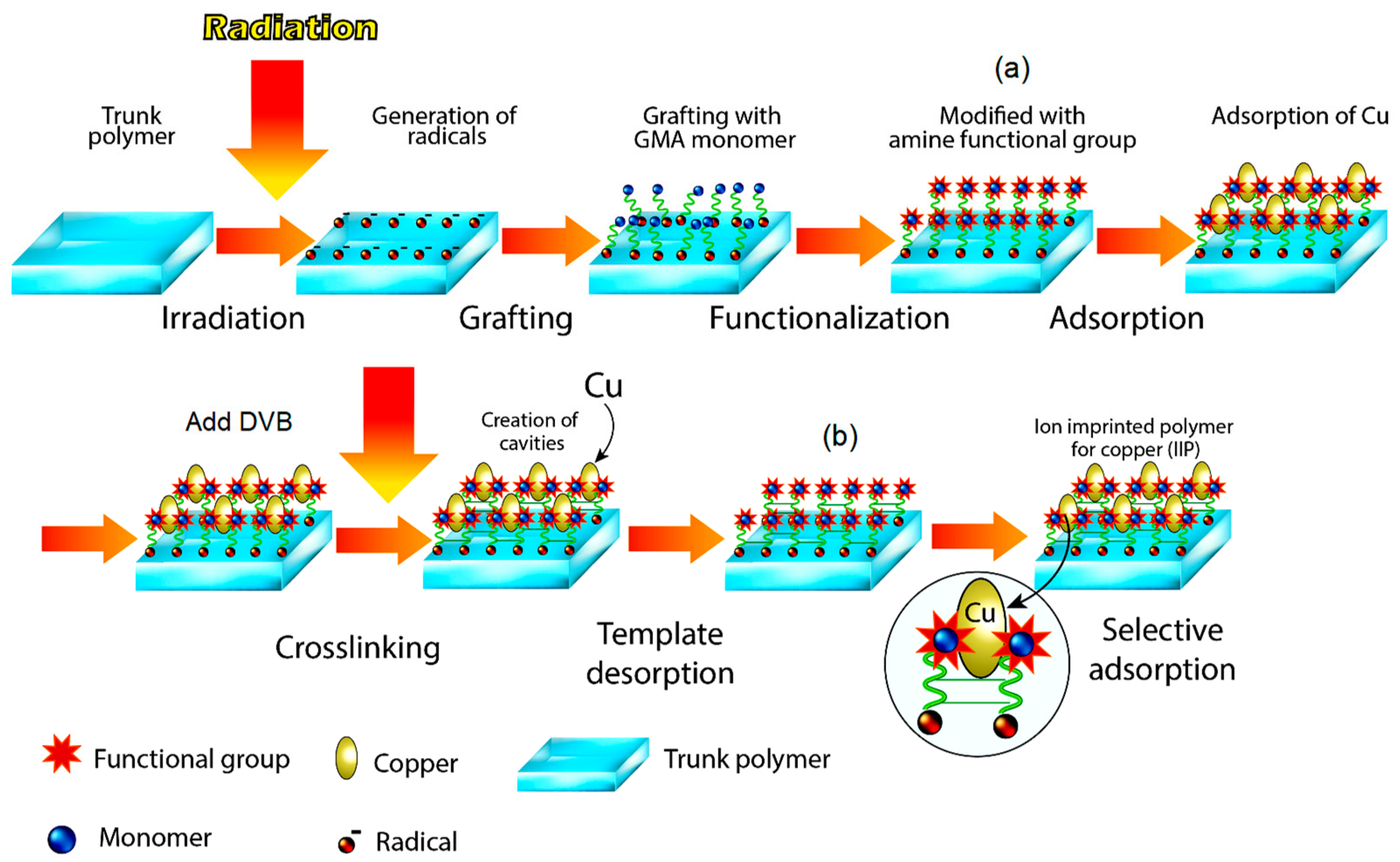 Polymers 11 01994 g001 Polymers 11 01994 g001