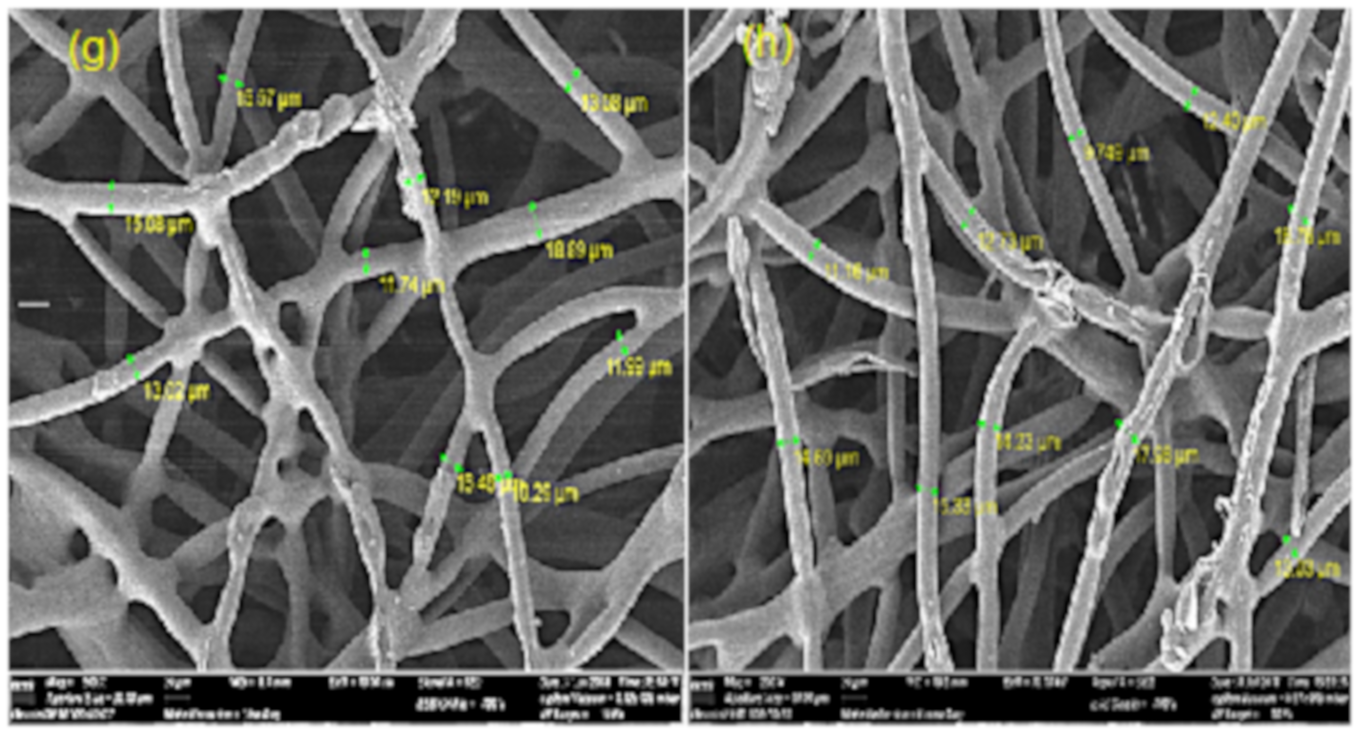 Polymers 11 01994 g002b Polymers 11 01994 g002b