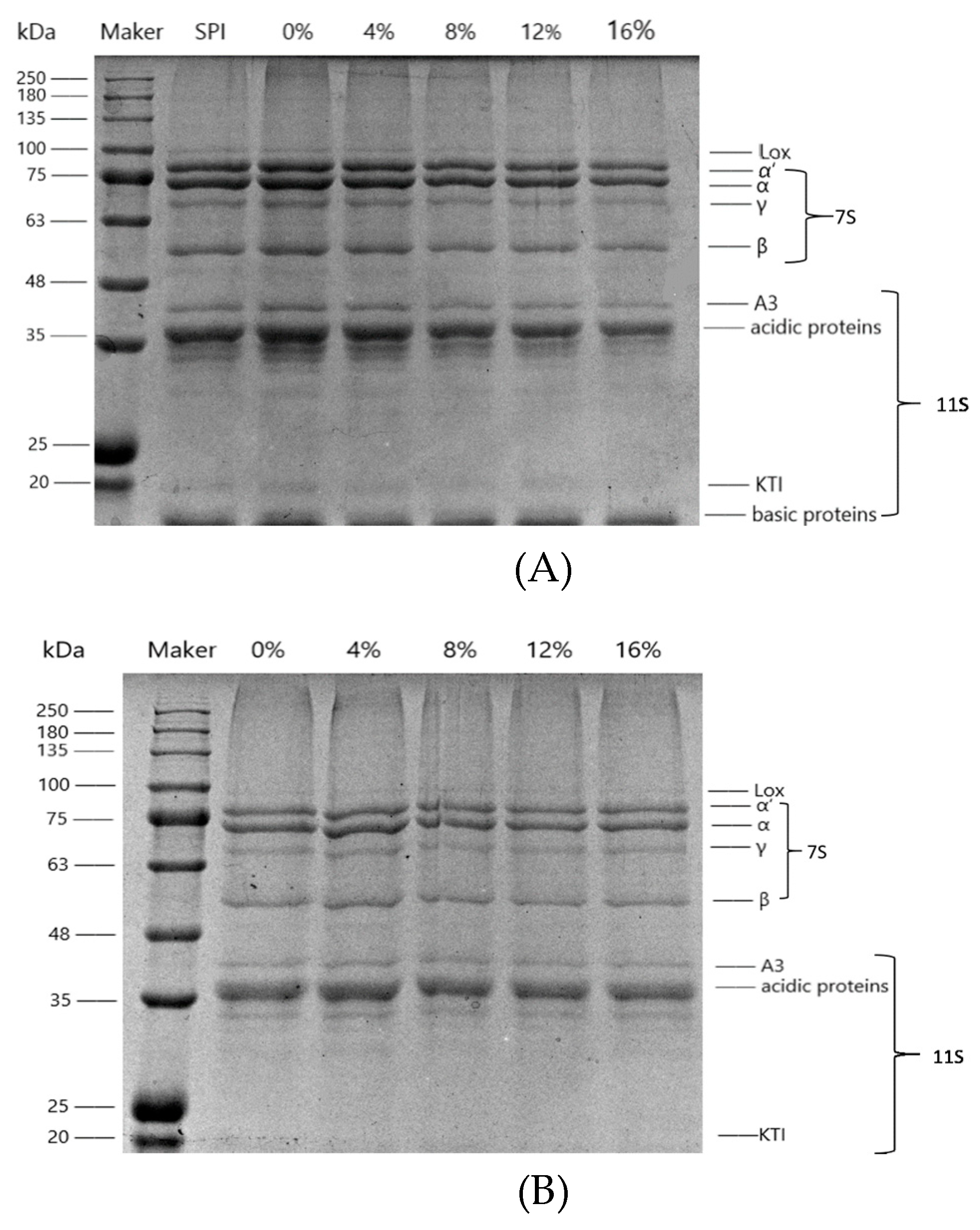 Polymers 11 01997 g002