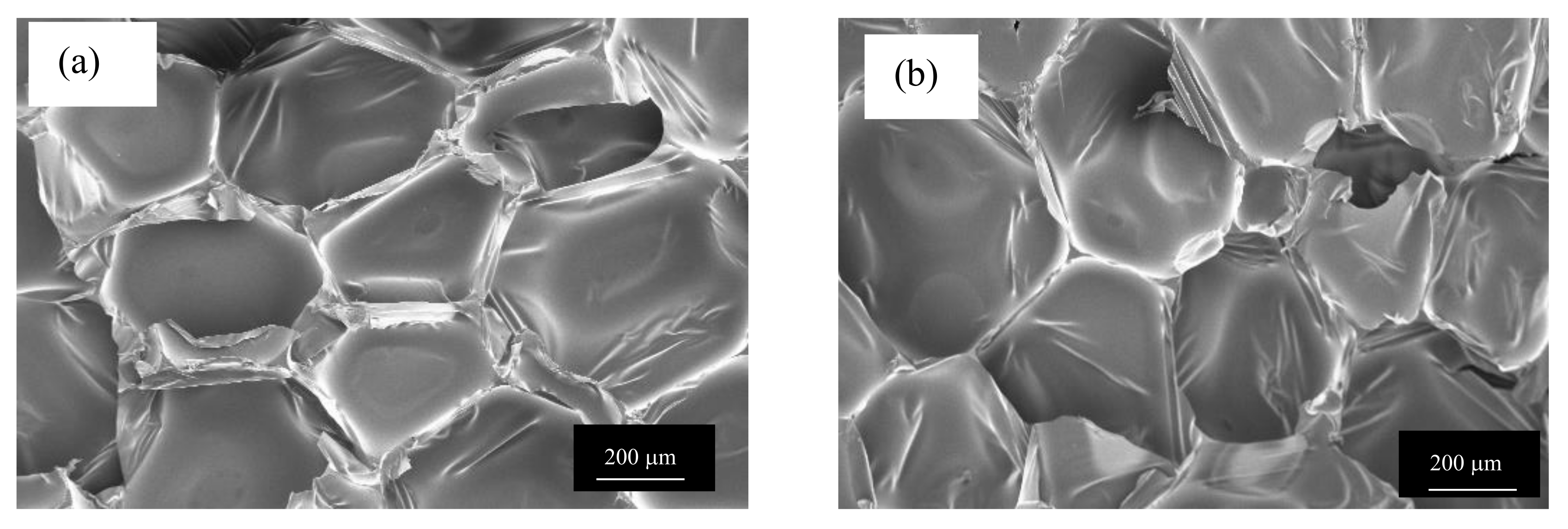 Polymers 11 02002 g006