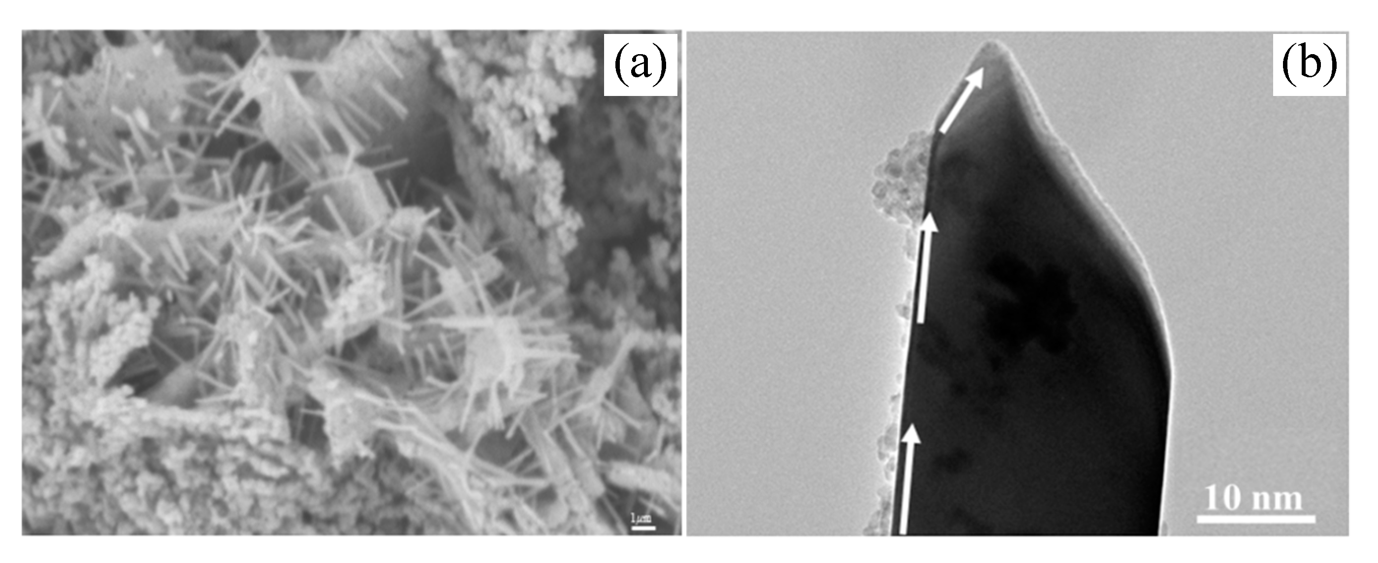 Polymers 11 02007 g006