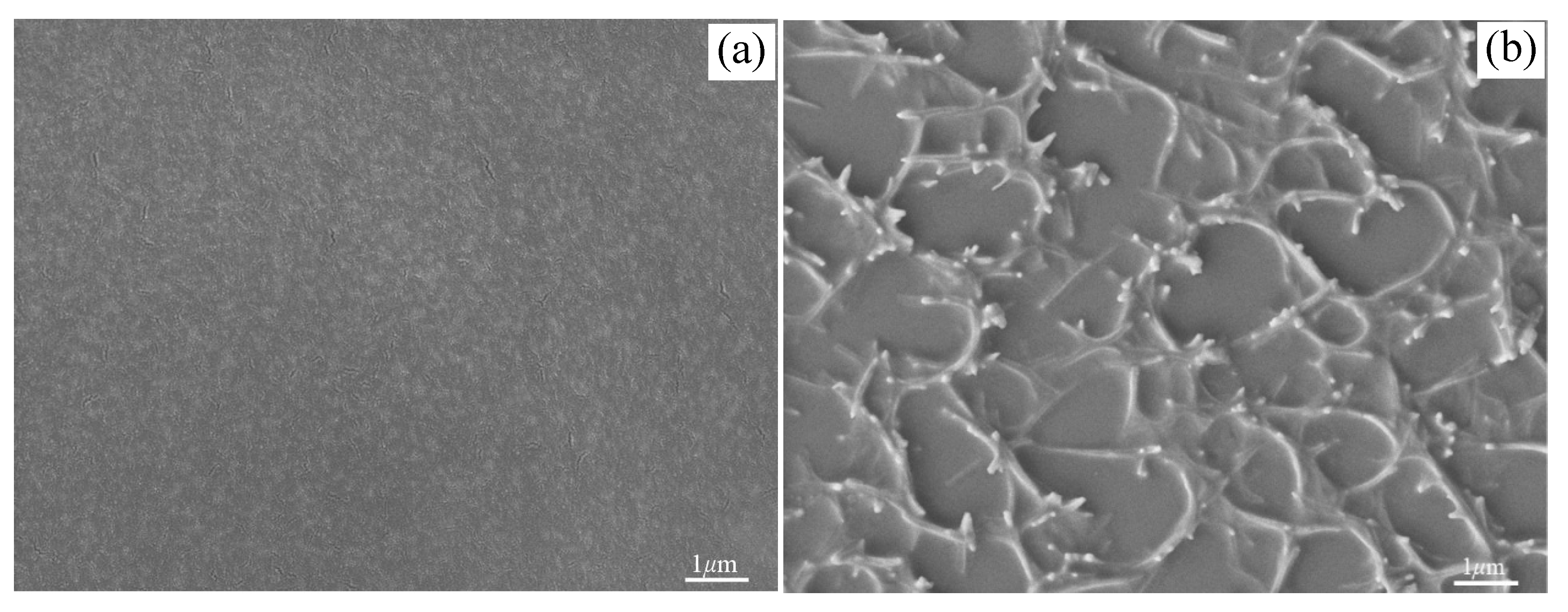 Polymers 11 02007 g009