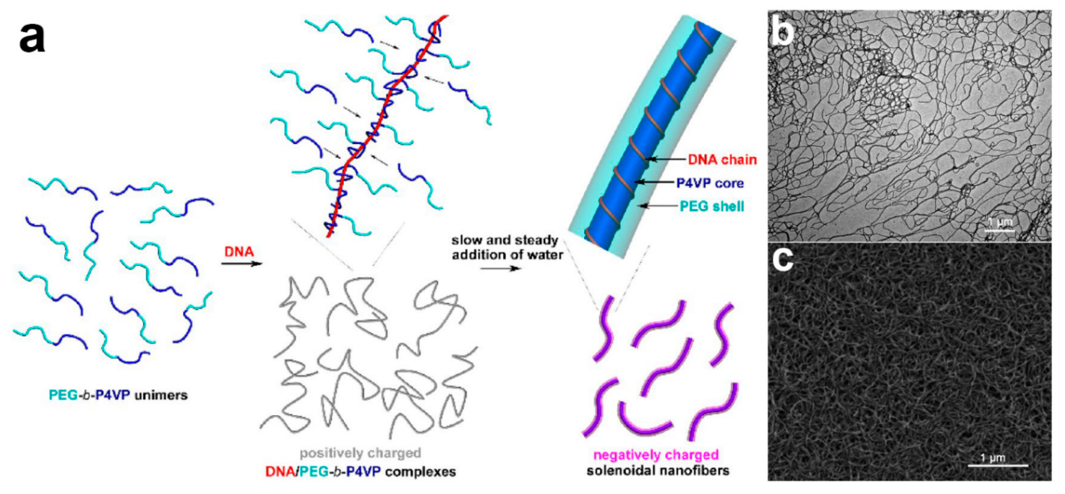 Polymers 11 02008 g006 Polymers 11 02008 g006