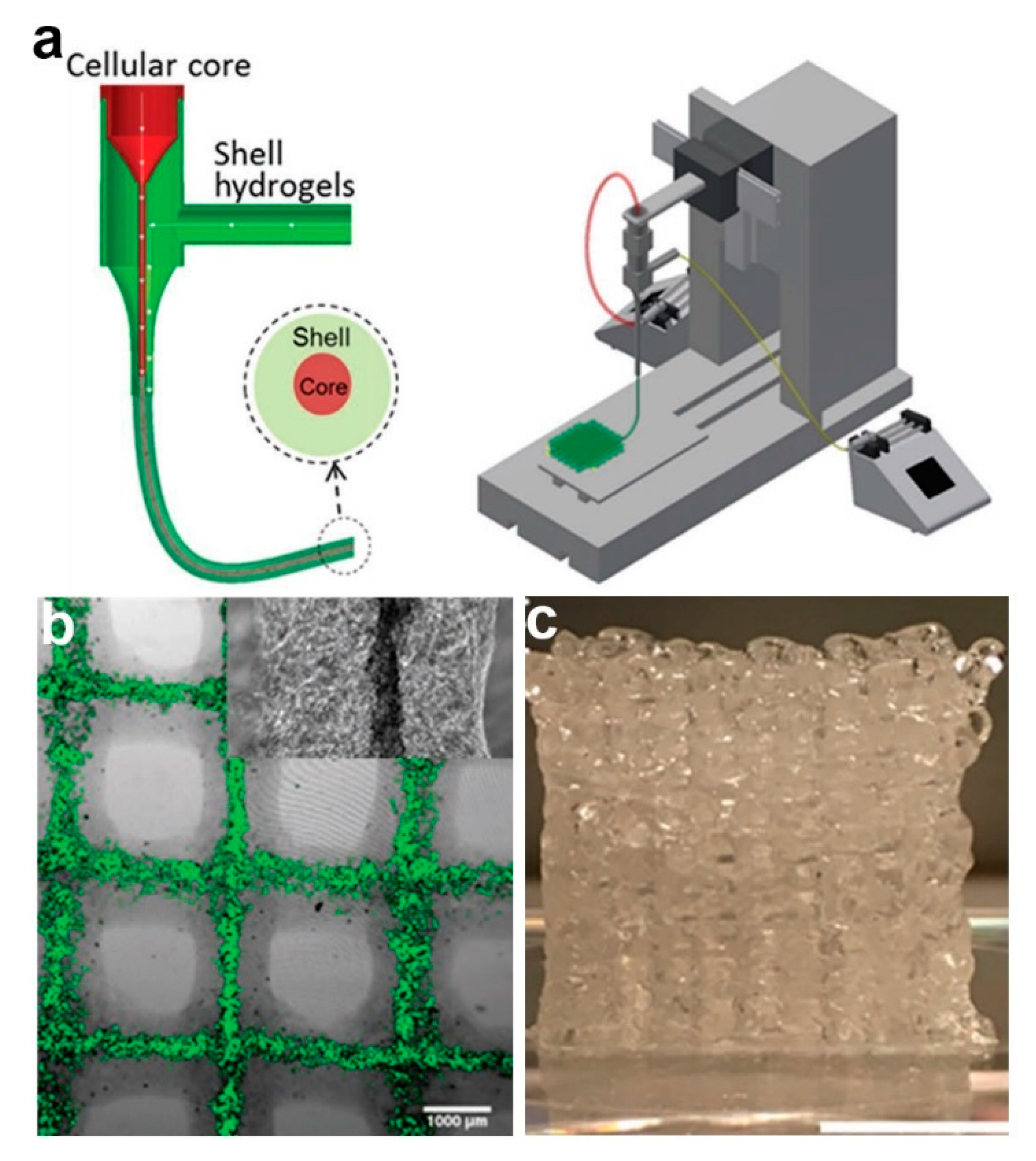 Polymers 11 02008 g007 Polymers 11 02008 g007