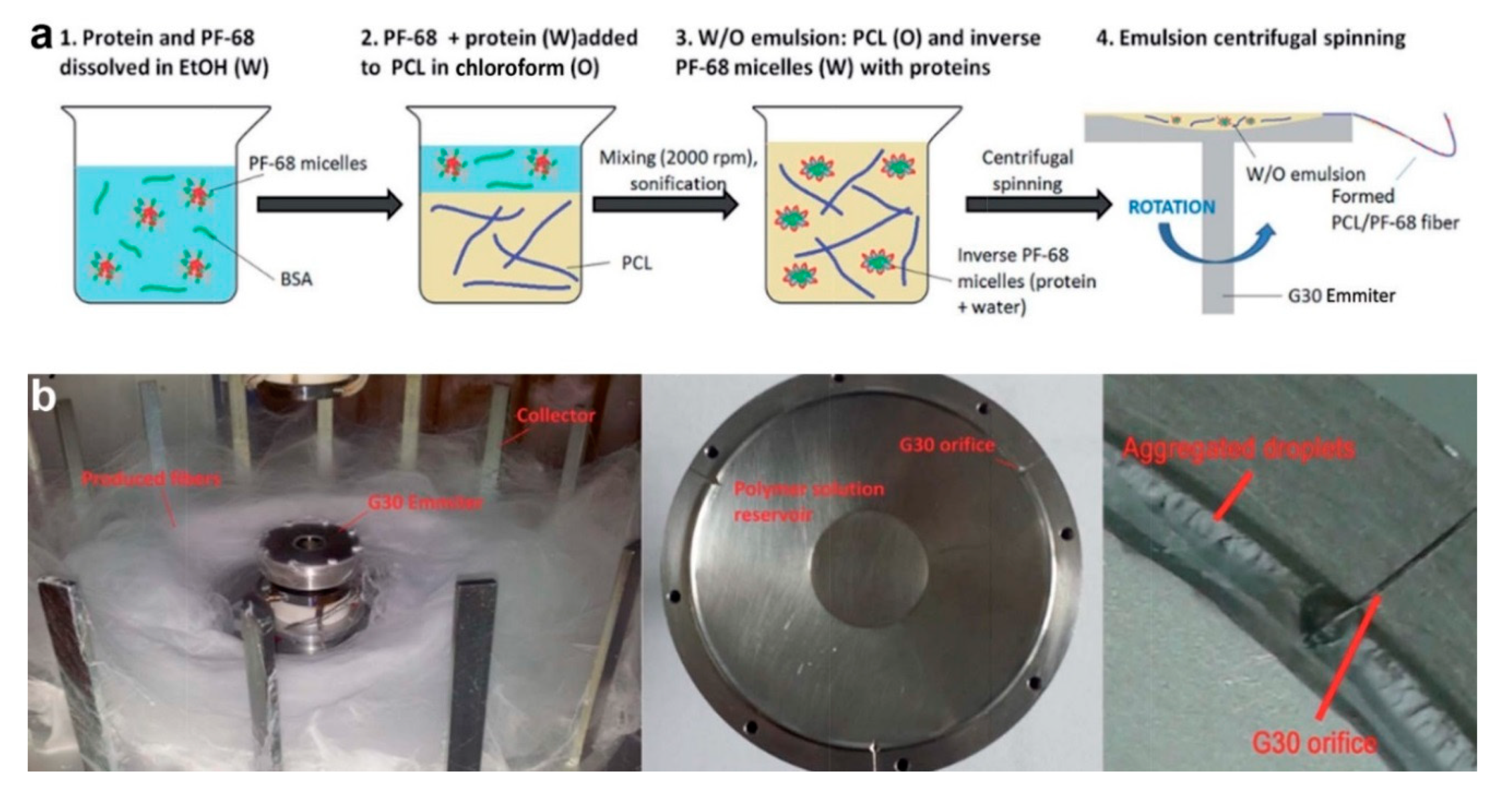 Polymers 11 02008 g008 Polymers 11 02008 g008