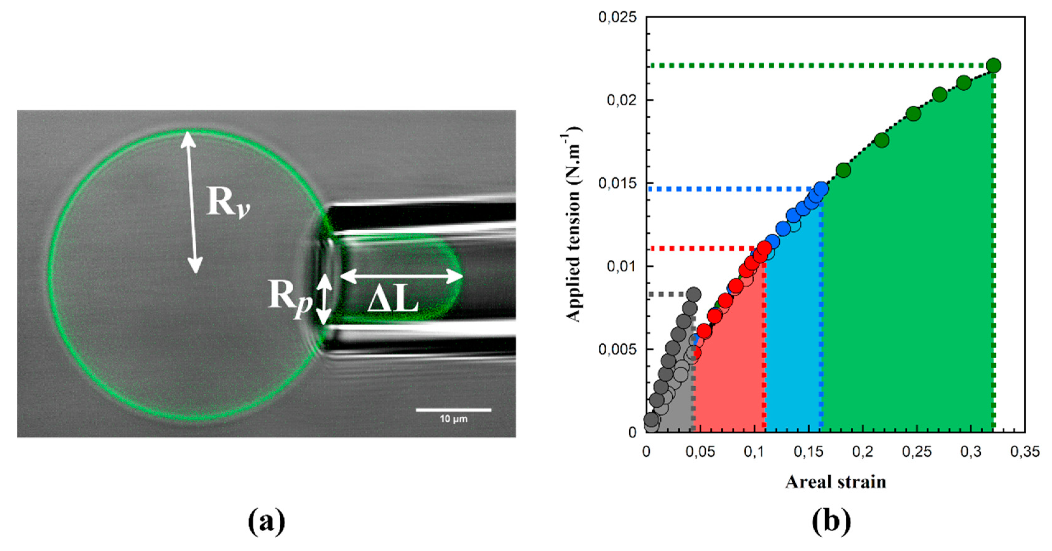 Polymers 11 02013 g006 Polymers 11 02013 g006